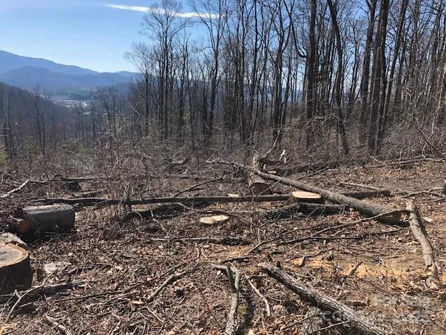 000 Butler Ridge Trail #27 - Photo 4