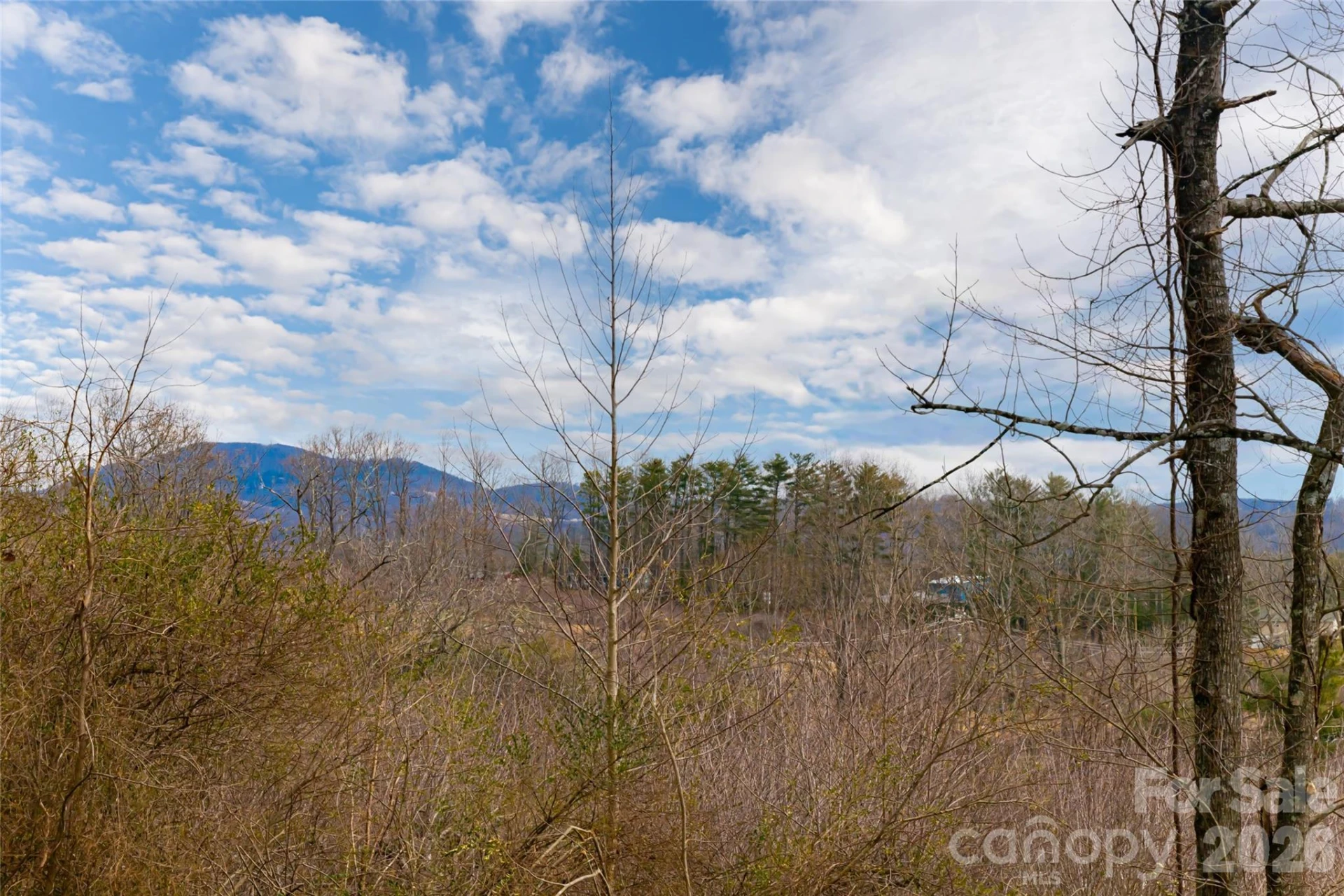 153 Hackleburg Lane - Photo 4
