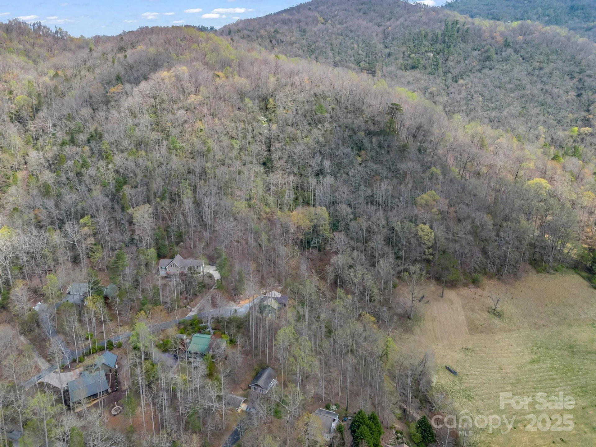 107 Twisted Birch Drive - Photo 14