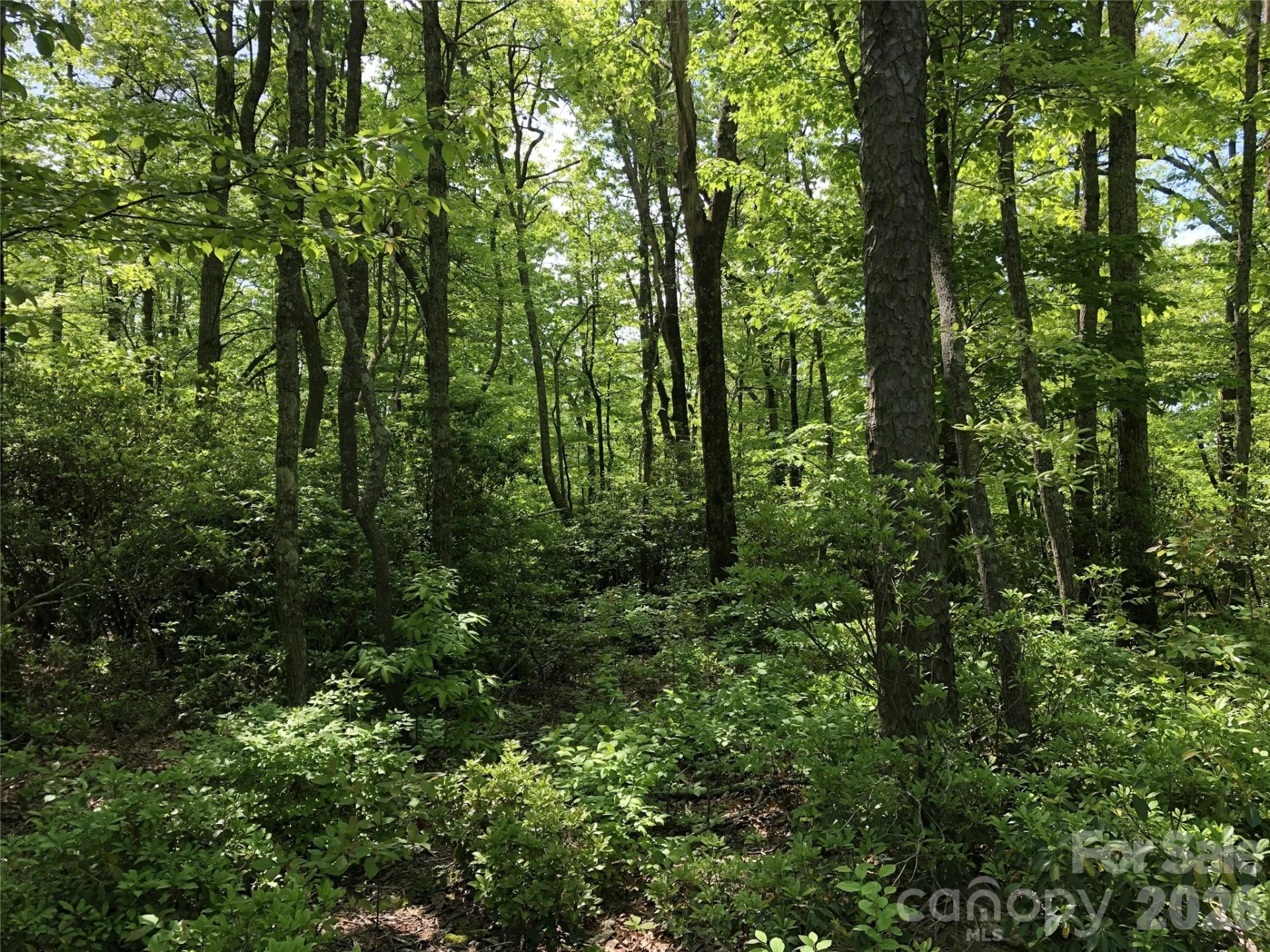 00 Millard Crossing #17 - Photo 2