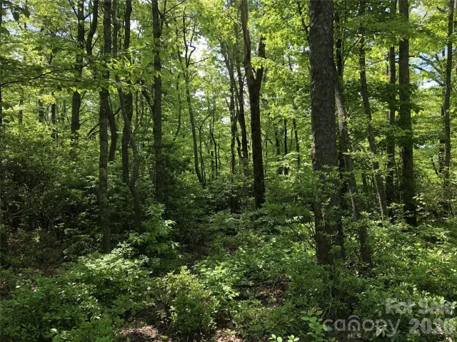 000 Millard Crossing
