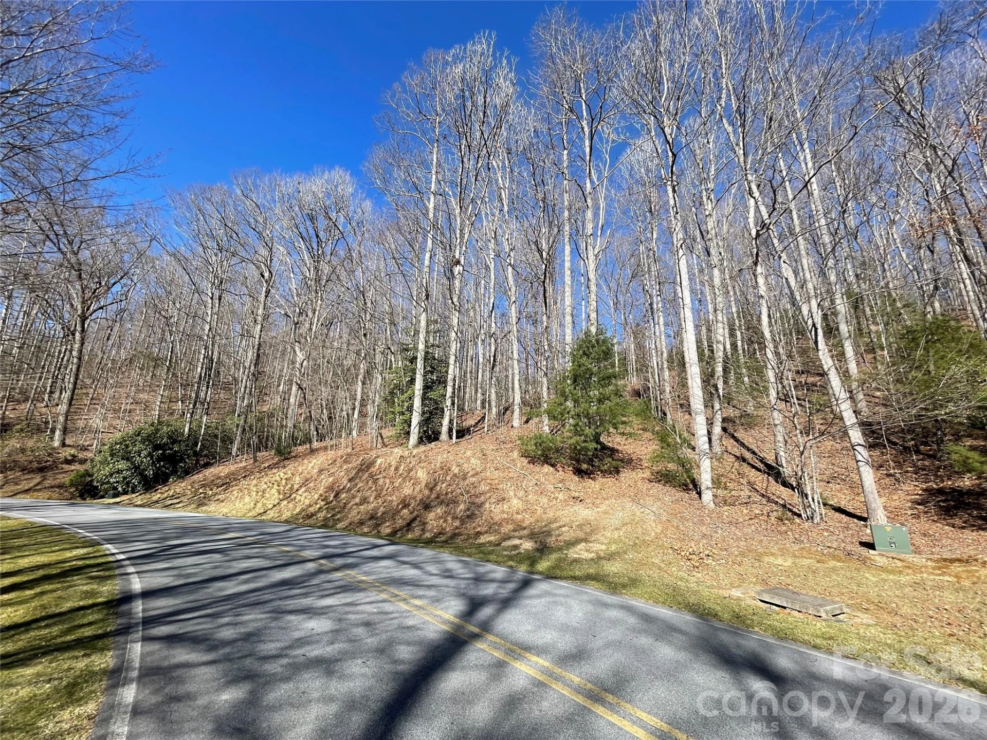 00 Chattooga Run #292R - Photo 2