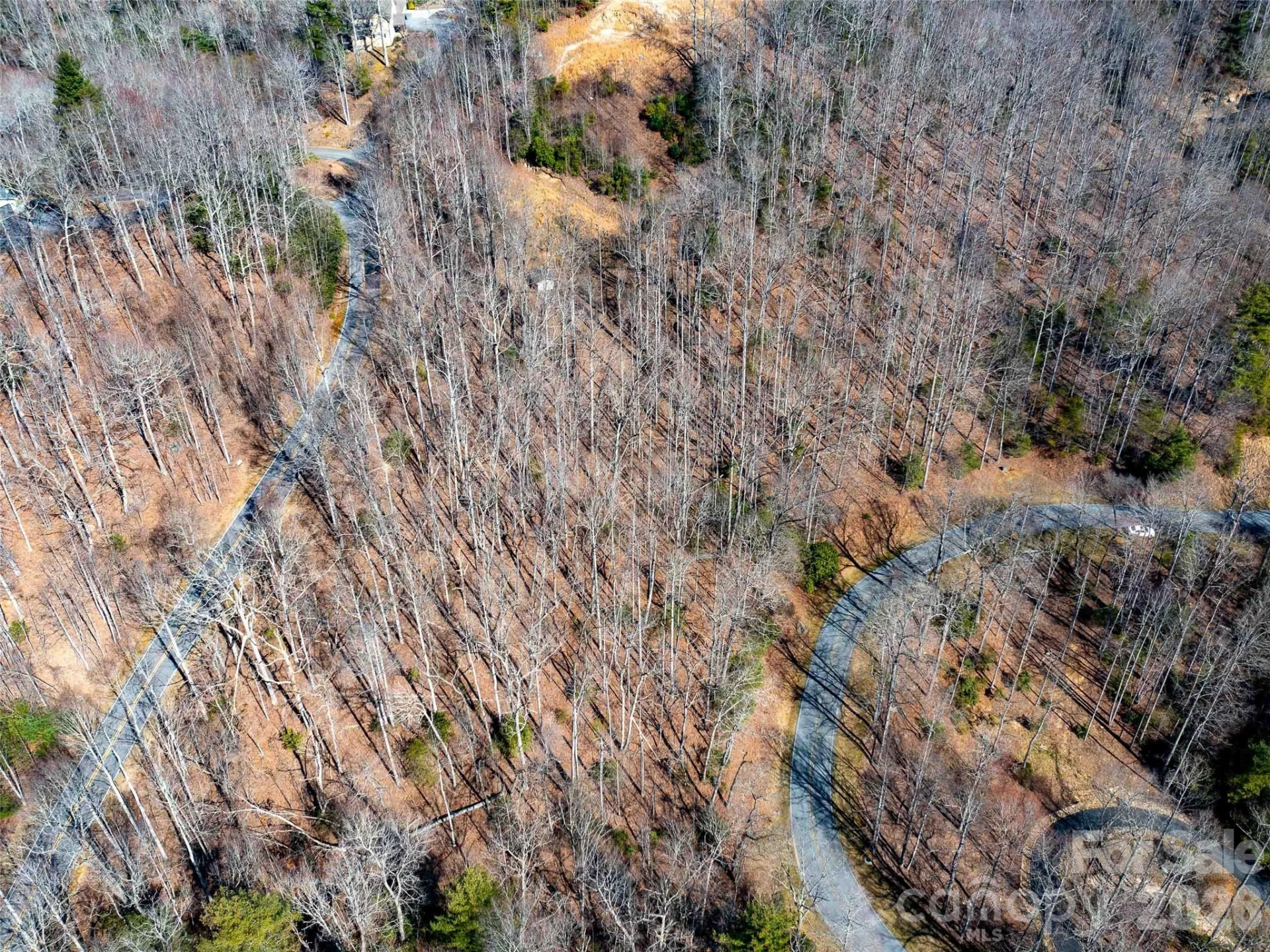 00 Chattooga Run #292R - Photo 14