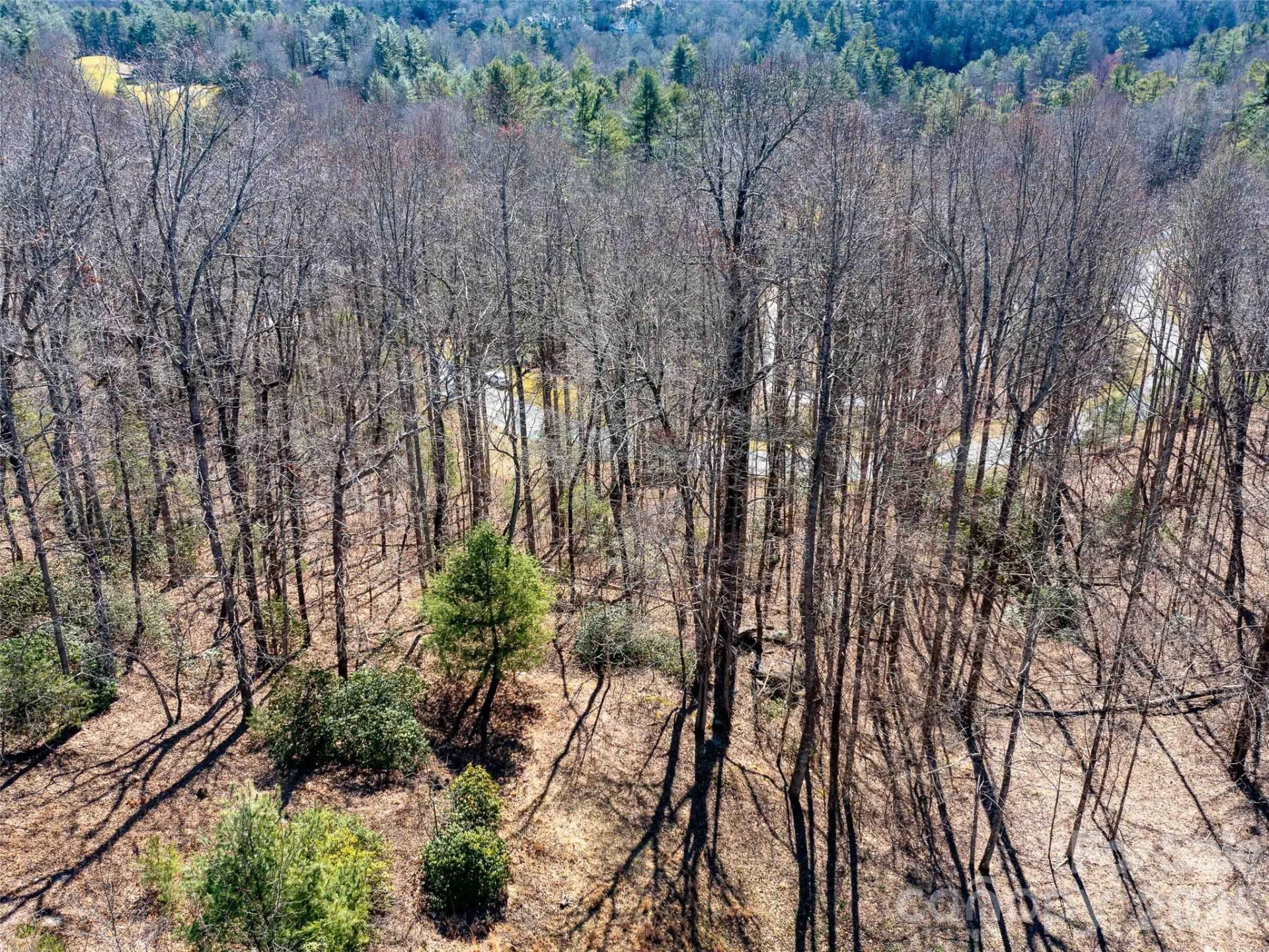 00 Chattooga Run #292R - Photo 19