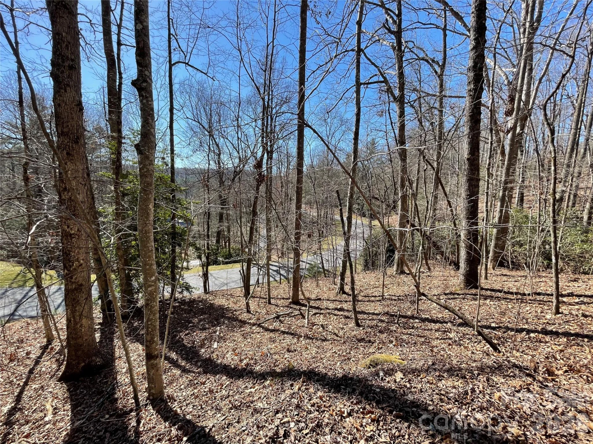 00 Chattooga Run #292R - Photo 6
