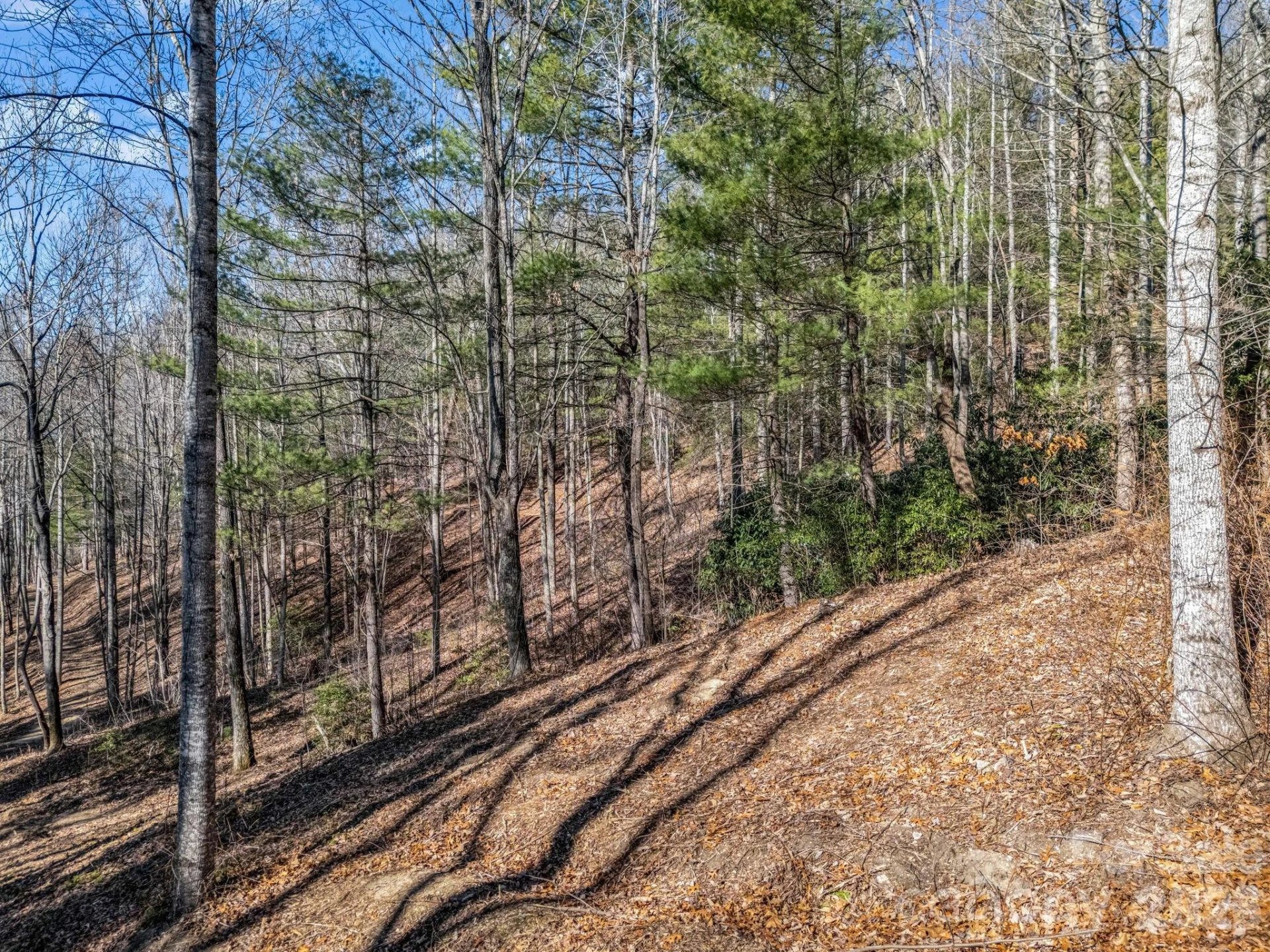 171 Justamere Lane - Photo 9