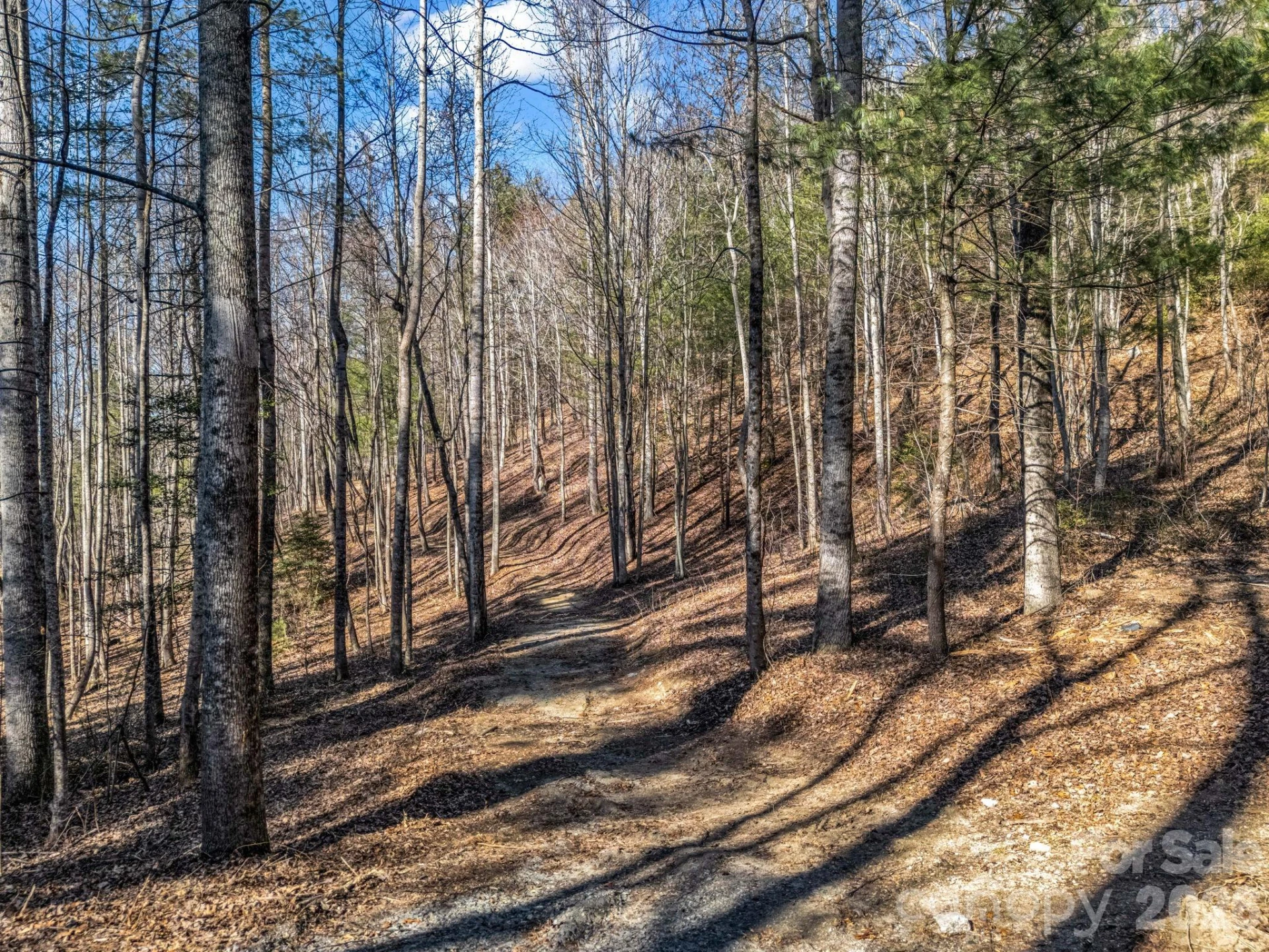 181 Justamere Lane - Photo 3