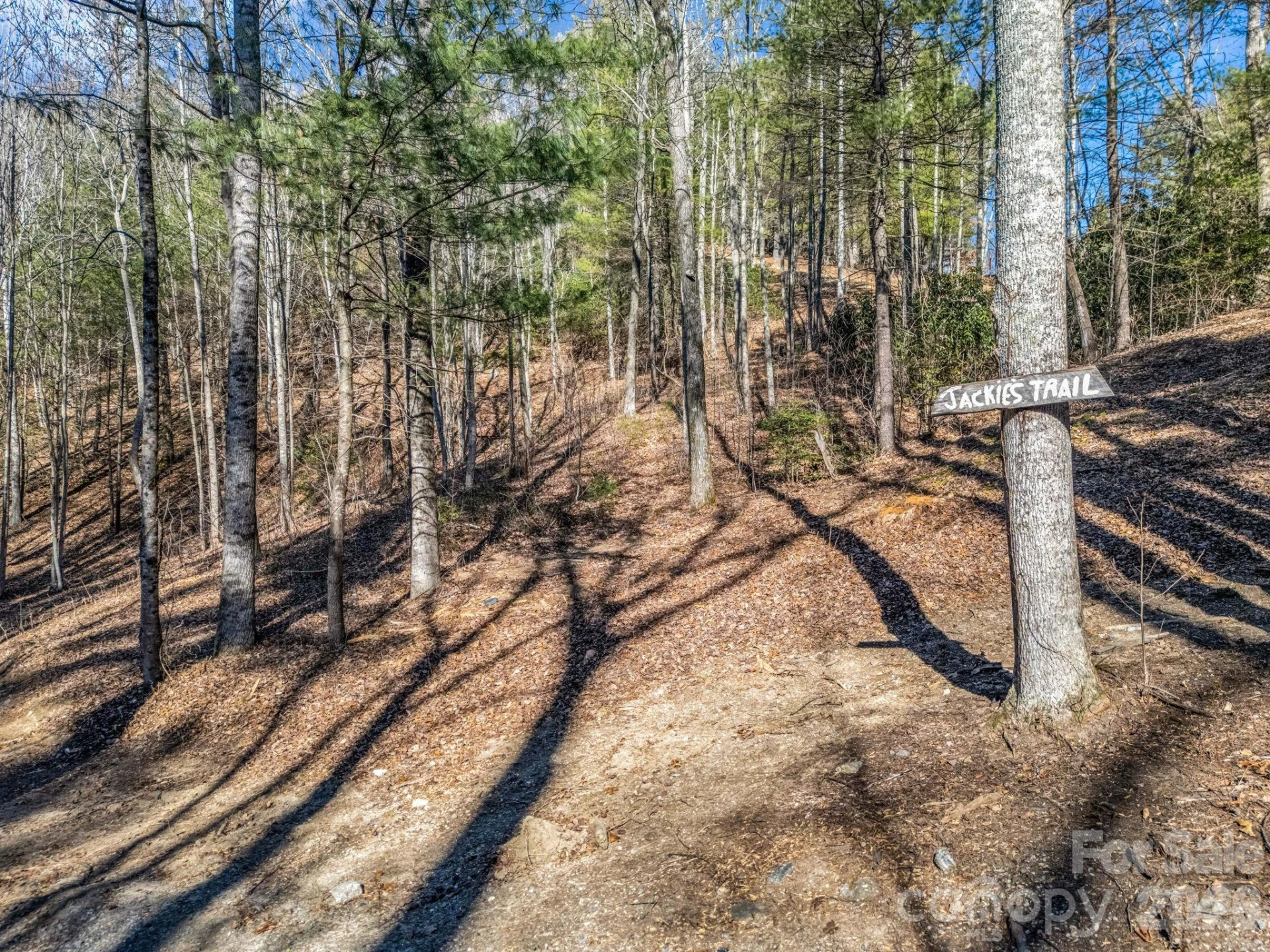 181 Justamere Lane - Photo 10