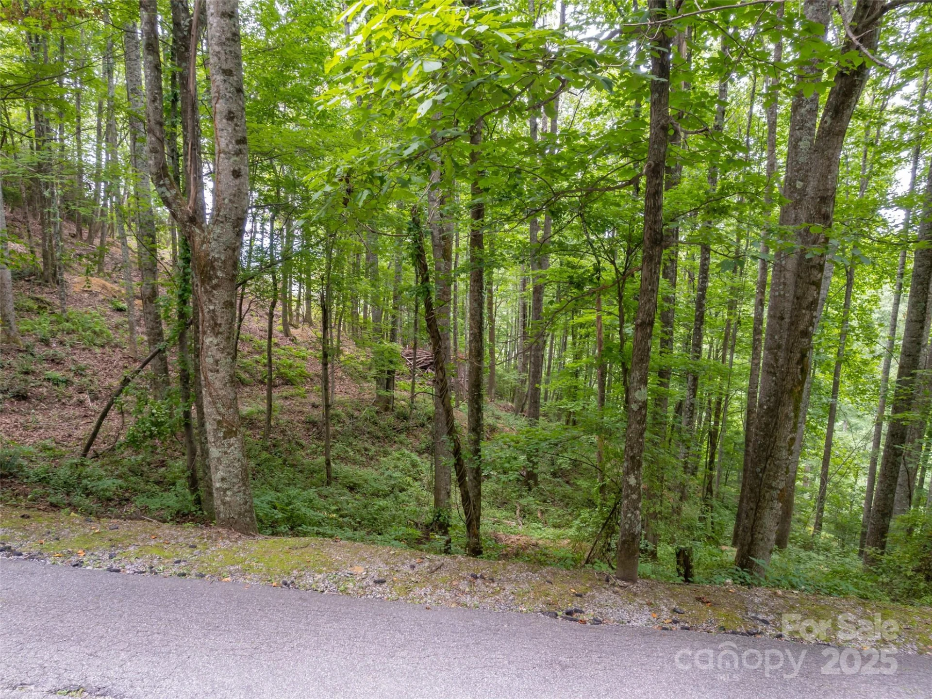 20 Highland Point Drive - Photo 13