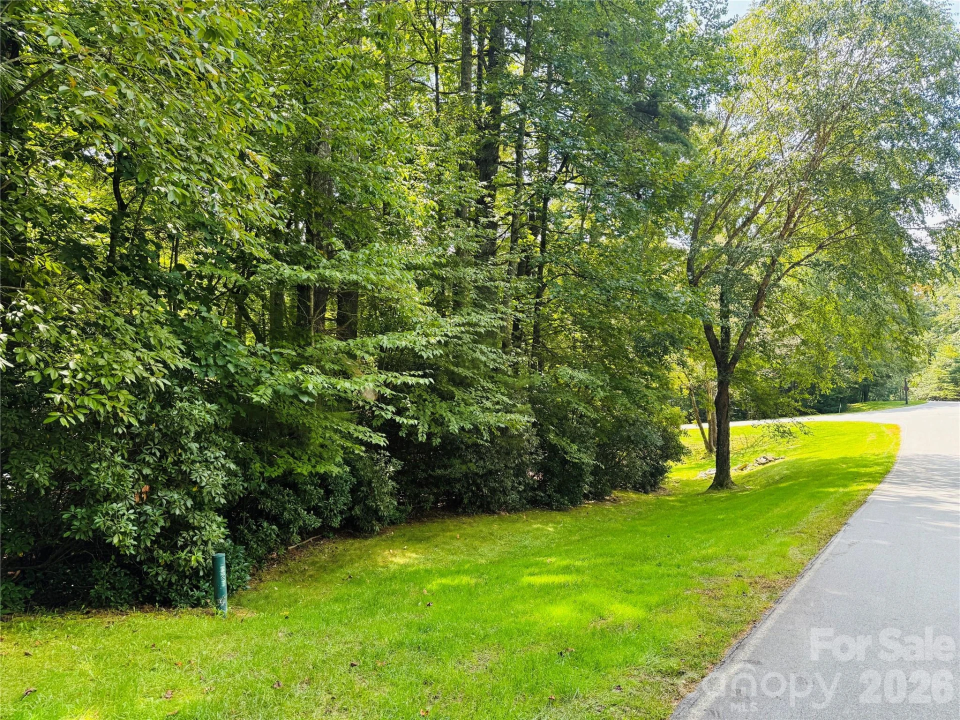 20 Prickly Briar Road - Photo 2