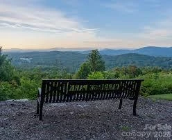 242 Carriage Summitt Way - Photo 37