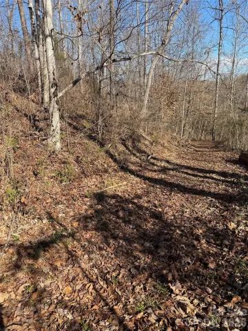 000 E Rambling Creek Road, Tryon, NC, 28782