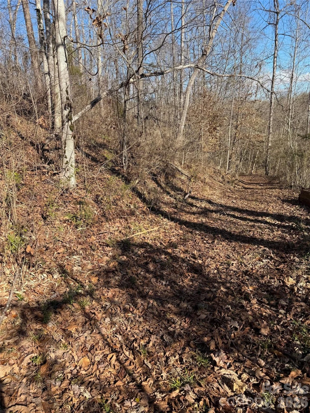 000 E Rambling Creek Road #11