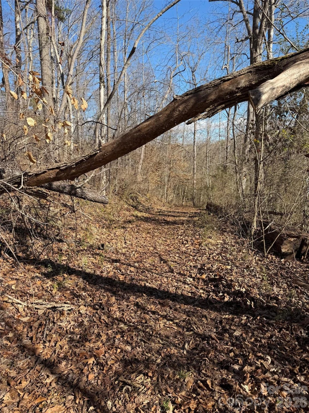 000 E Rambling Creek Road #11 - Photo 2