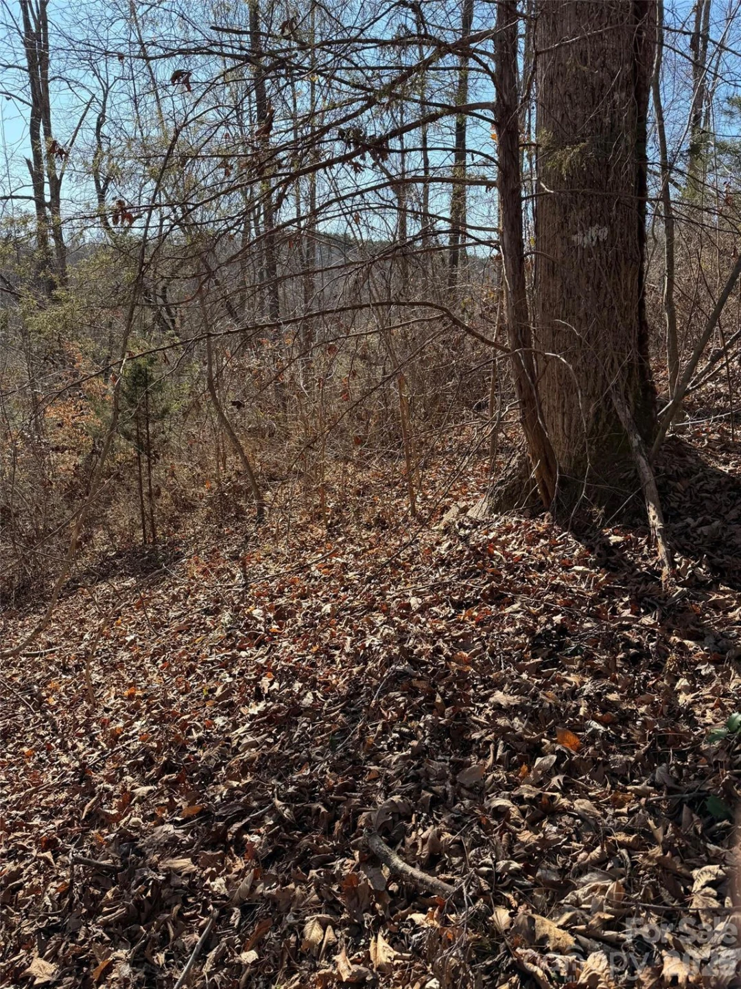000 E Rambling Creek Road #11 - Photo 4