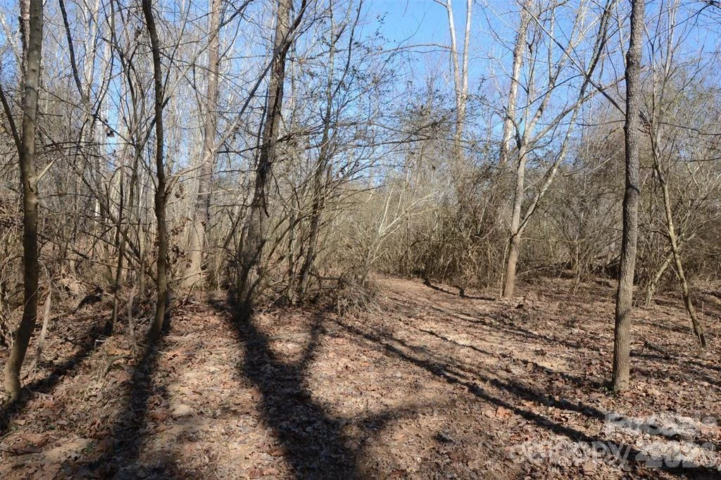 000 E Rambling Creek Road #11 - Photo 5