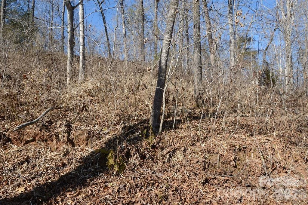 000 E Rambling Creek Road #11 - Photo 6