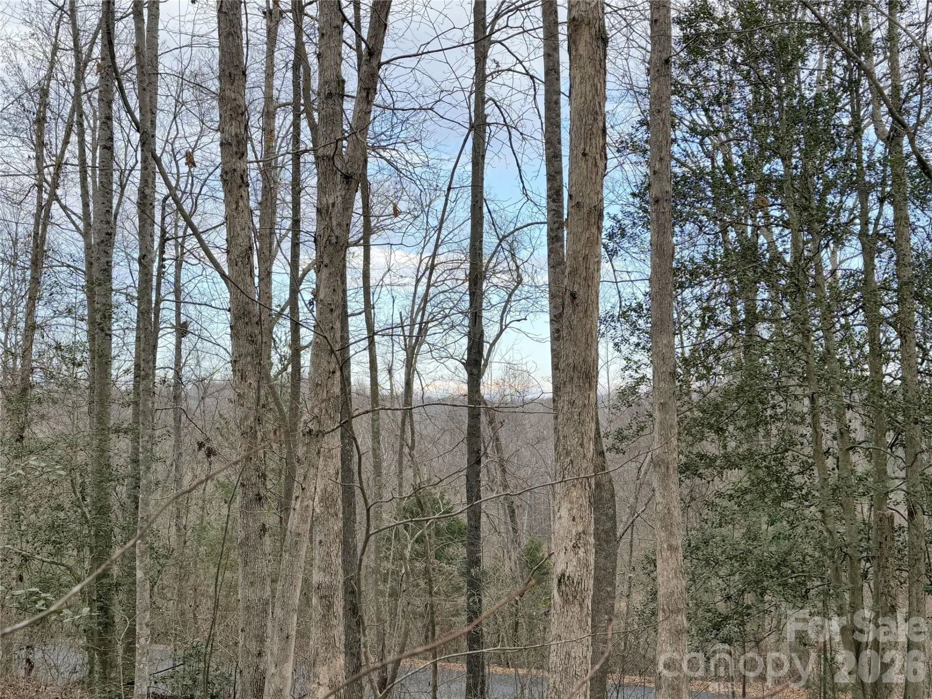 0000 E Rambling Creek Drive #26 - Photo 2