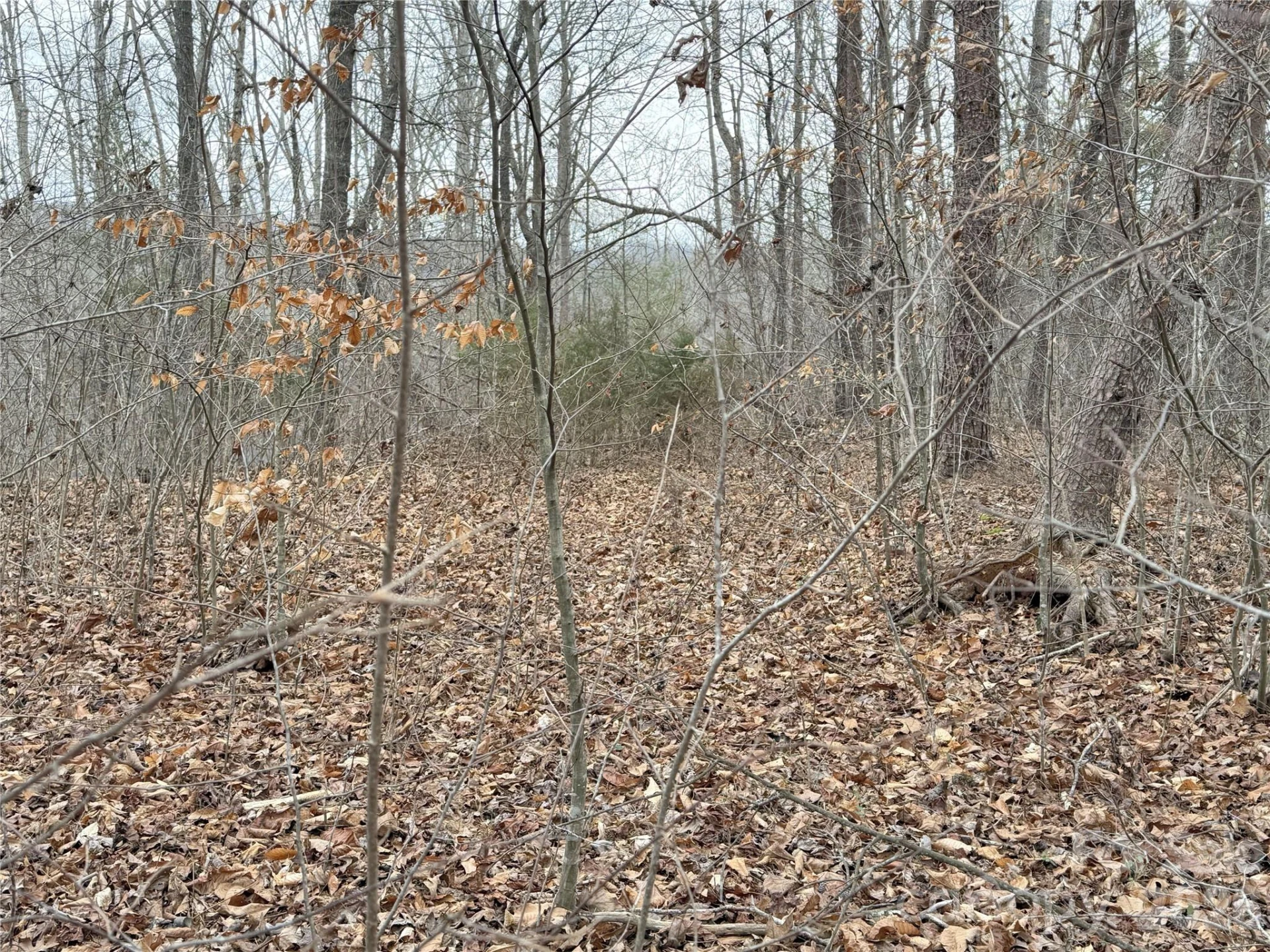 0000 E Rambling Creek Drive #26 - Photo 3