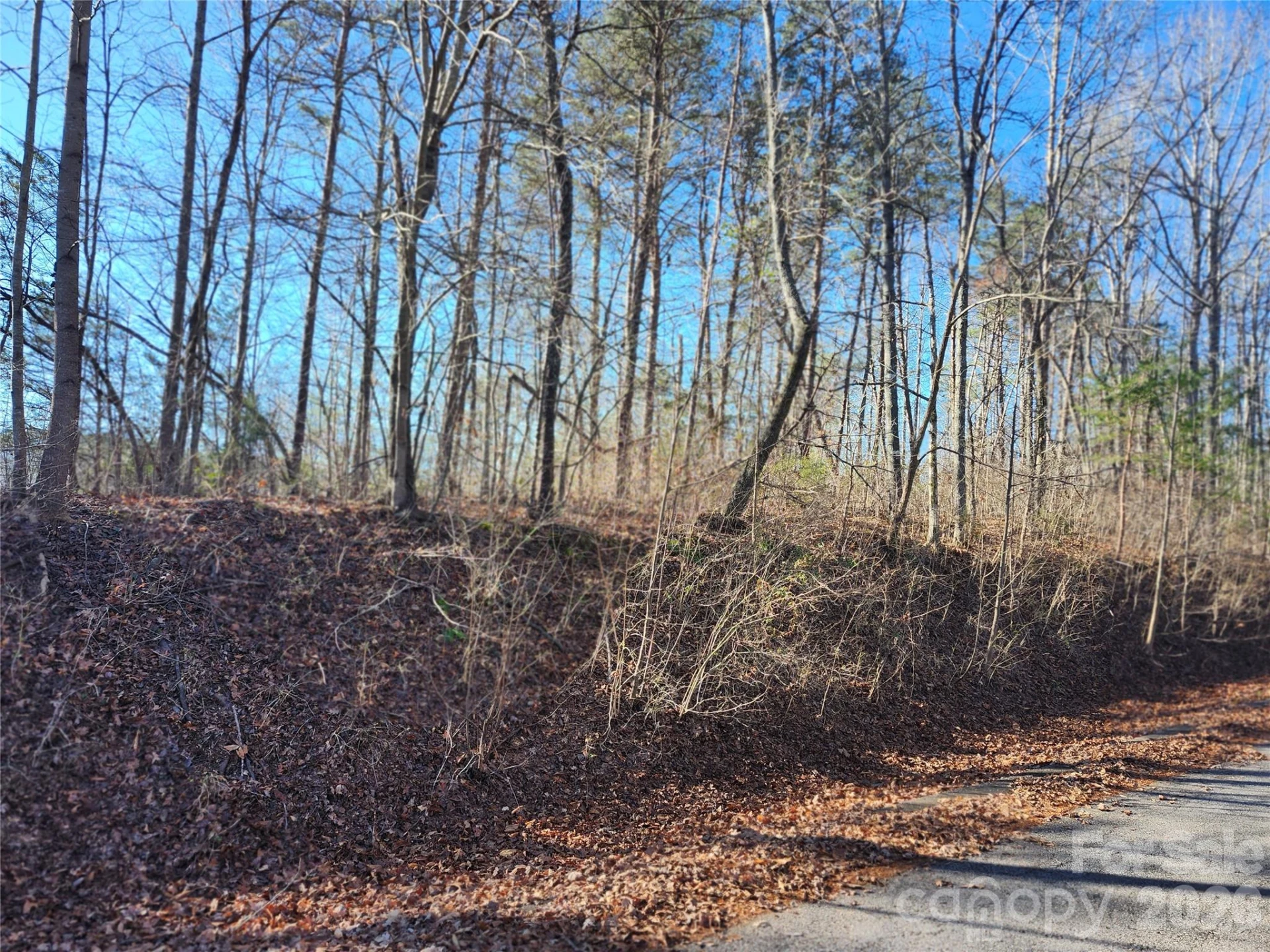 0000 E Rambling Creek Drive #26 - Photo 4