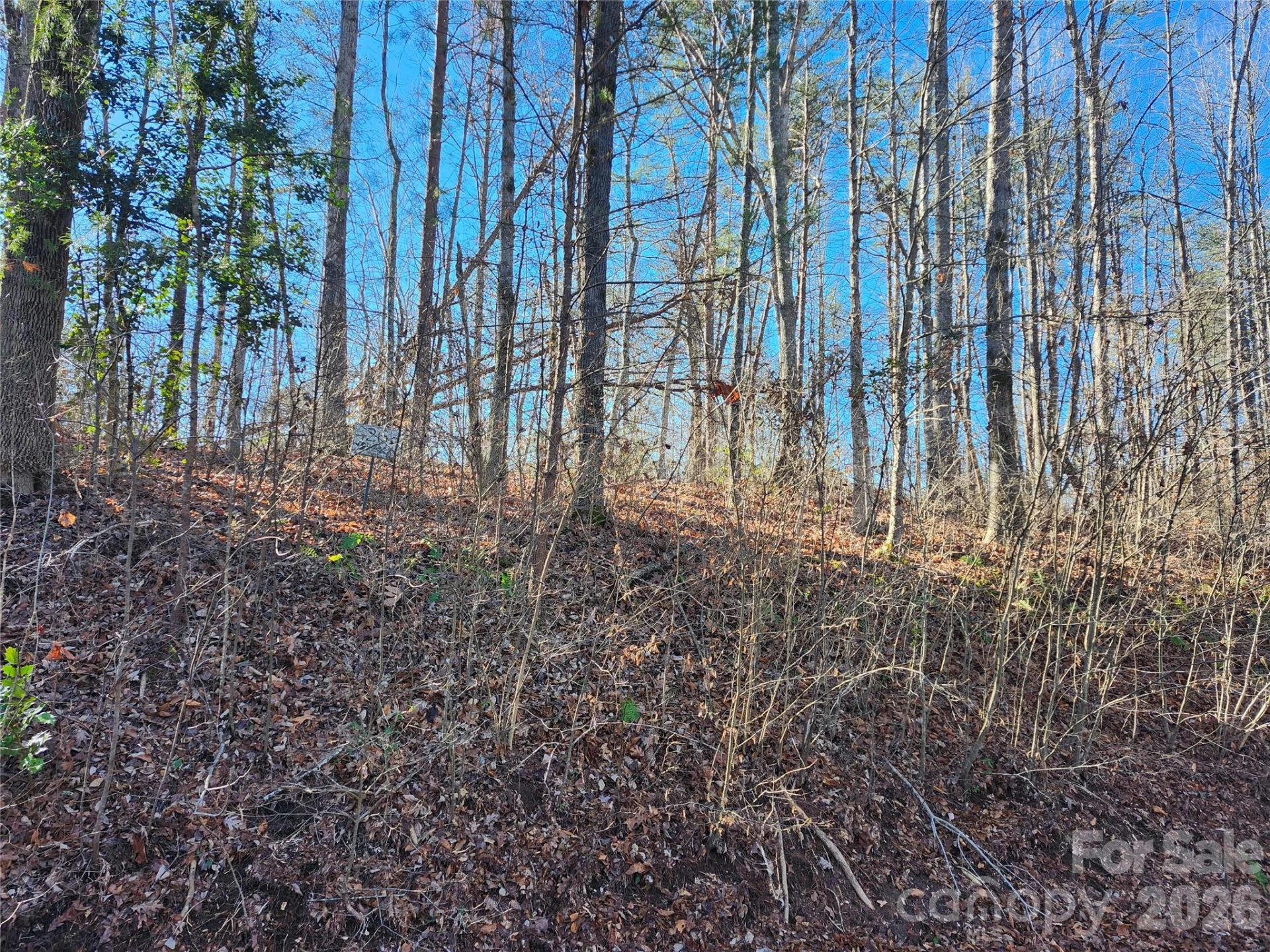 0000 E Rambling Creek Drive #26 - Photo 6