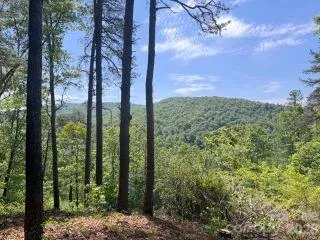 0 GREEN RIVER Road, Zirconia, NC, 28790