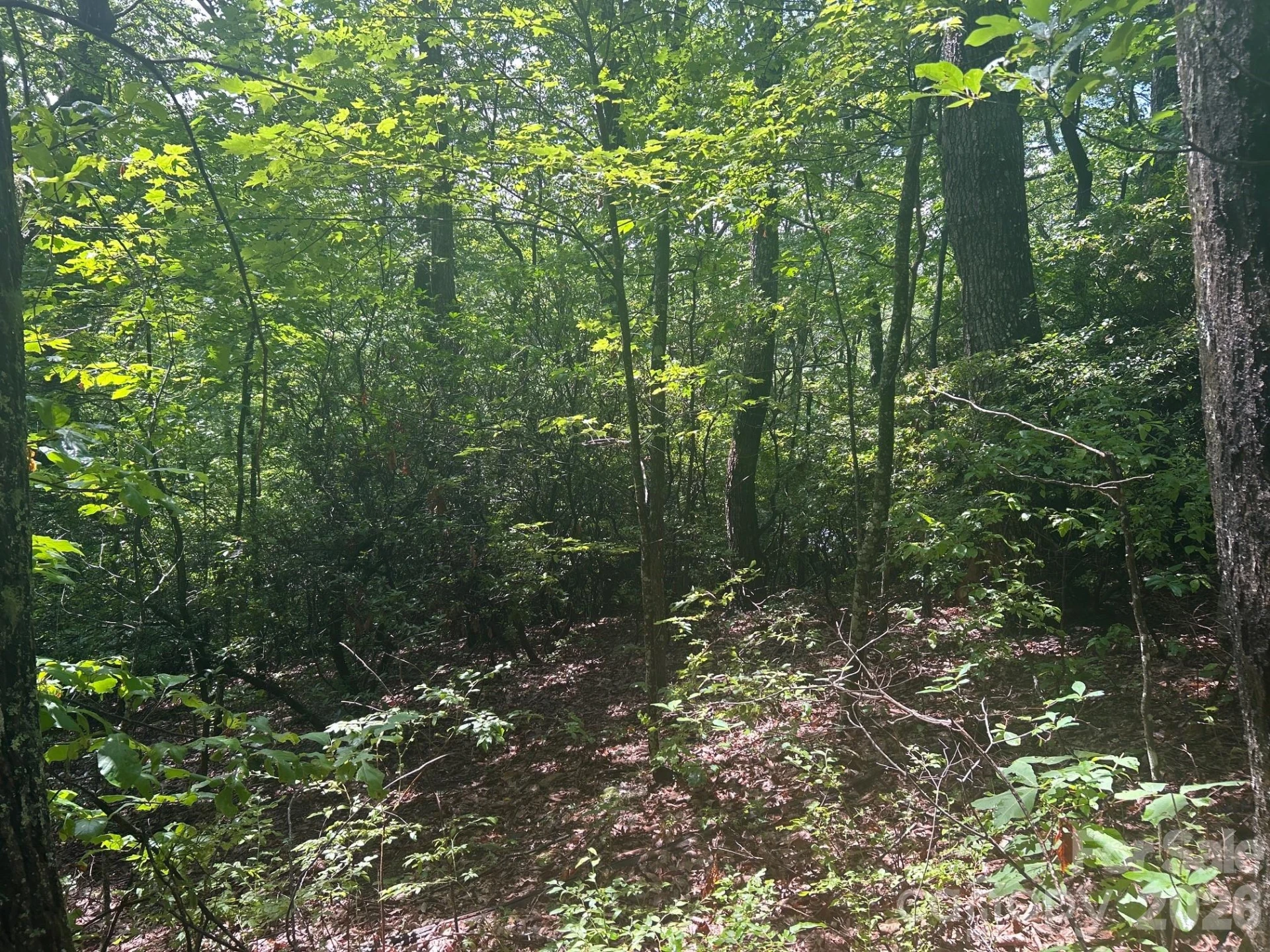 0 Pine Ridge Road #21 - Photo 2