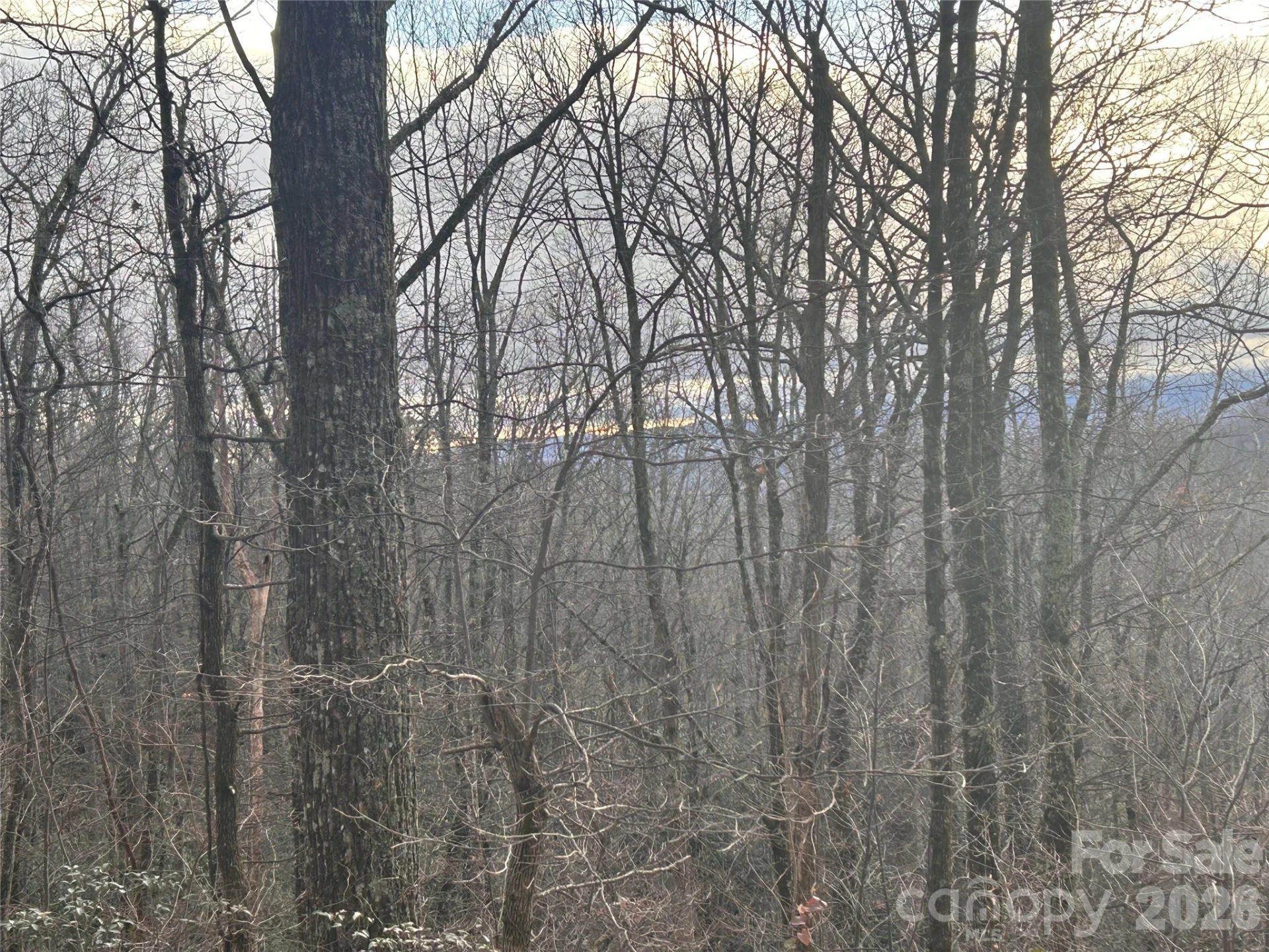 0 Pine Ridge Road #21 - Photo 11