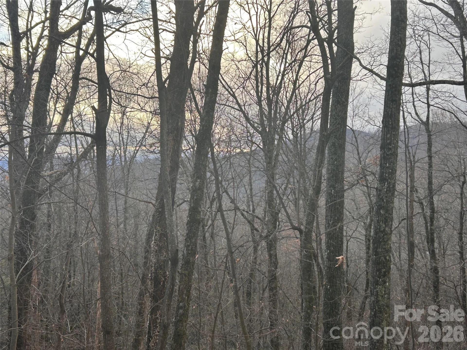 0 Pine Ridge Road #21 - Photo 13