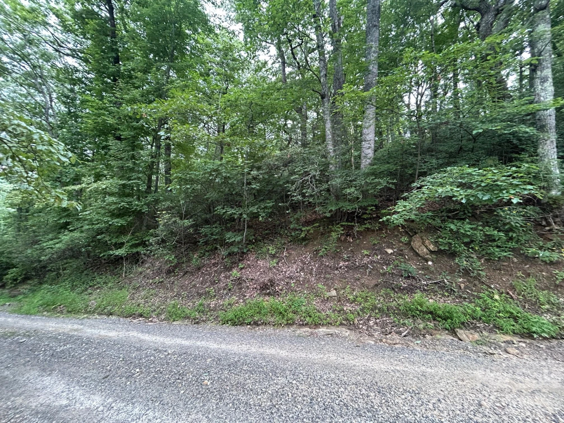 0 Pine Ridge Road #21 - Photo 6