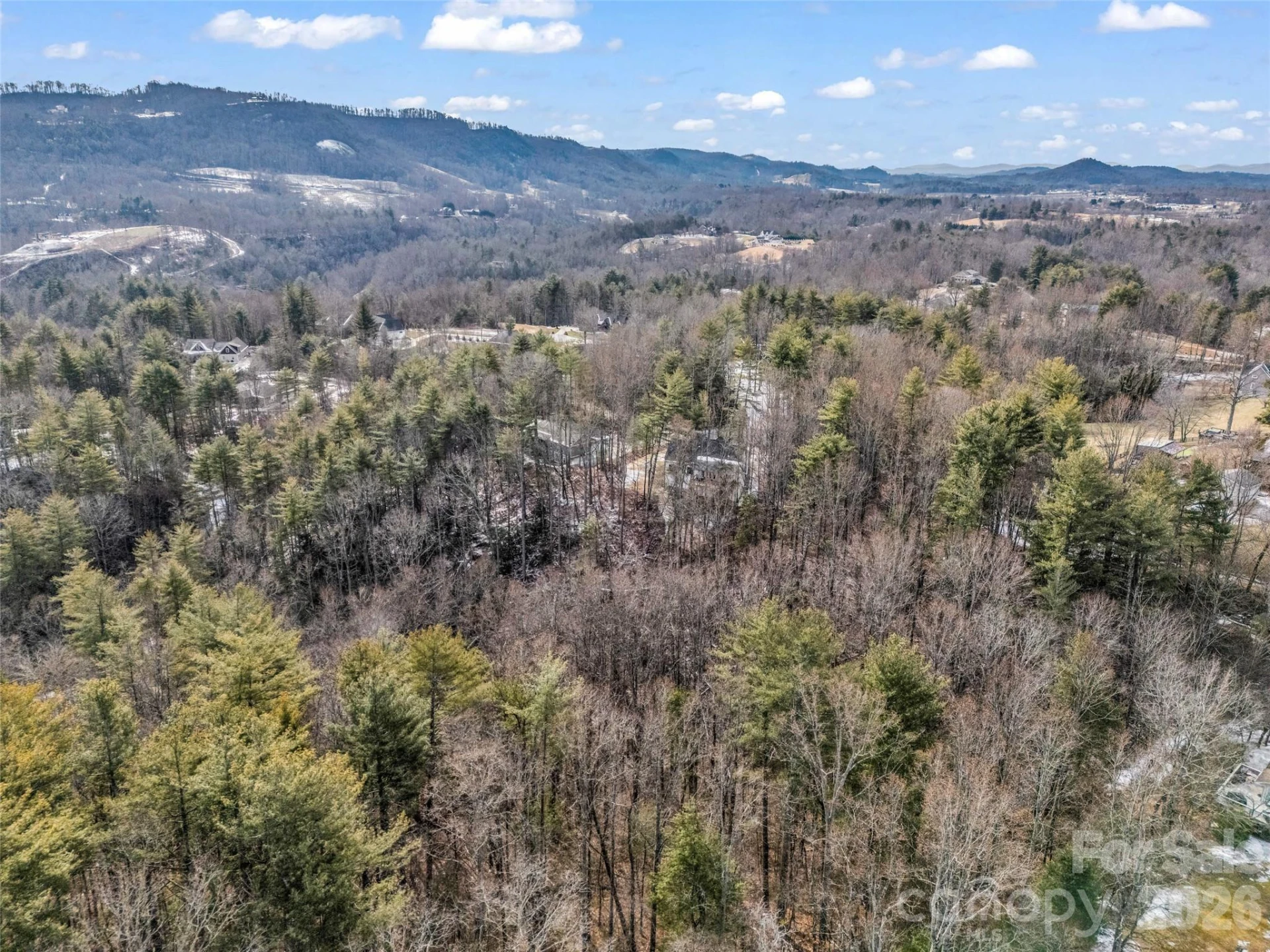 88 Summer Shade Court - Photo 7