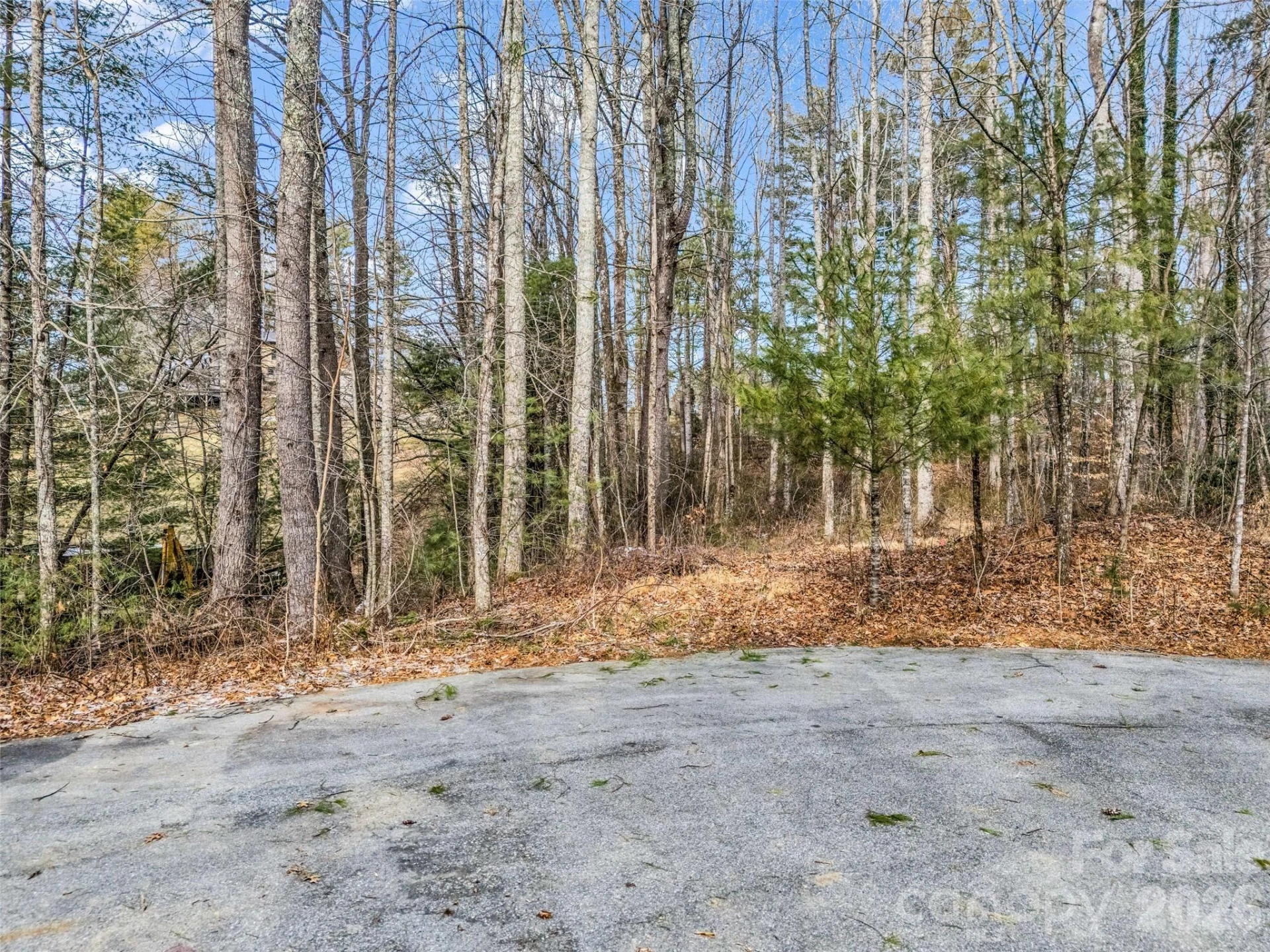 88 Summer Shade Court - Photo 30