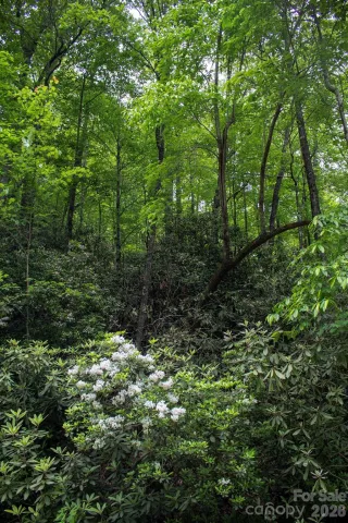 TBD Fox Den Road, Brevard, NC, 28712