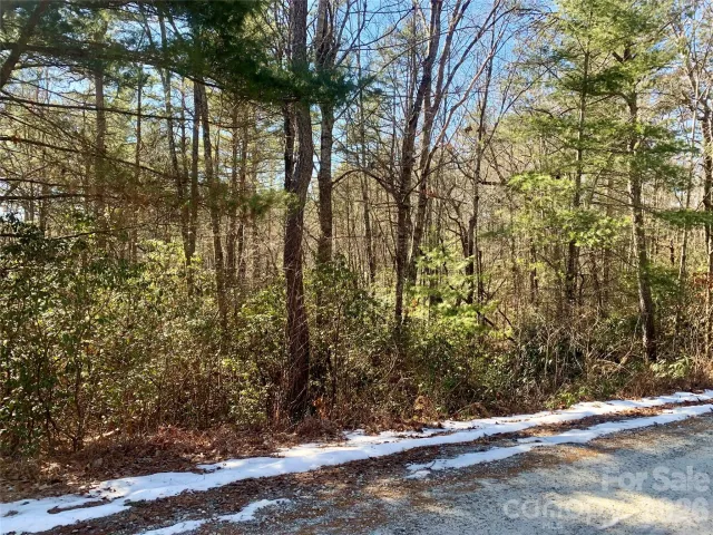 Lot 18 Oak Ridge Drive, Brevard, NC, 28712