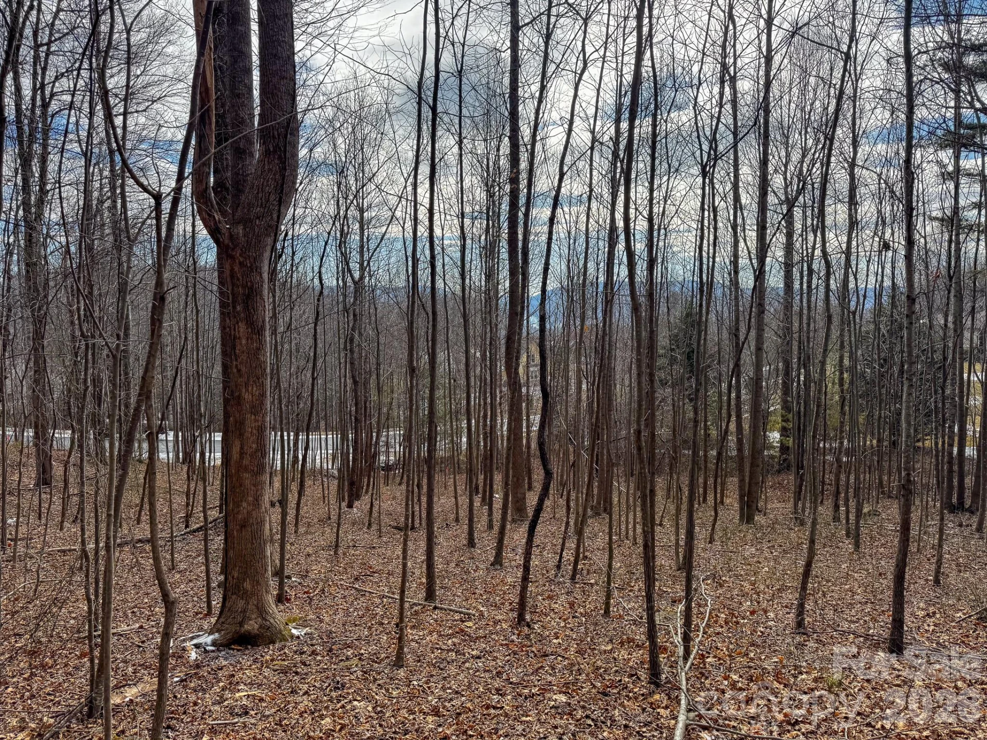 770 Somersby Parkway - Photo 3