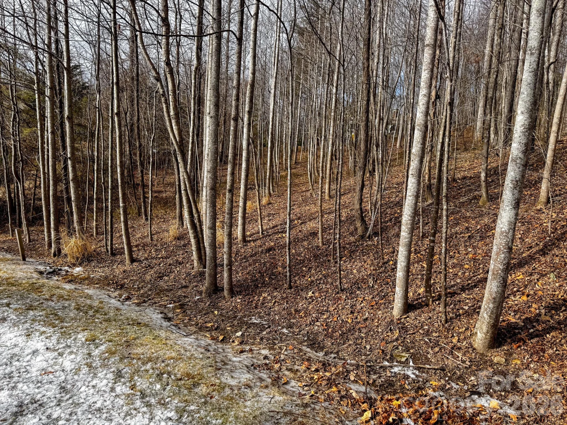 770 Somersby Parkway - Photo 21