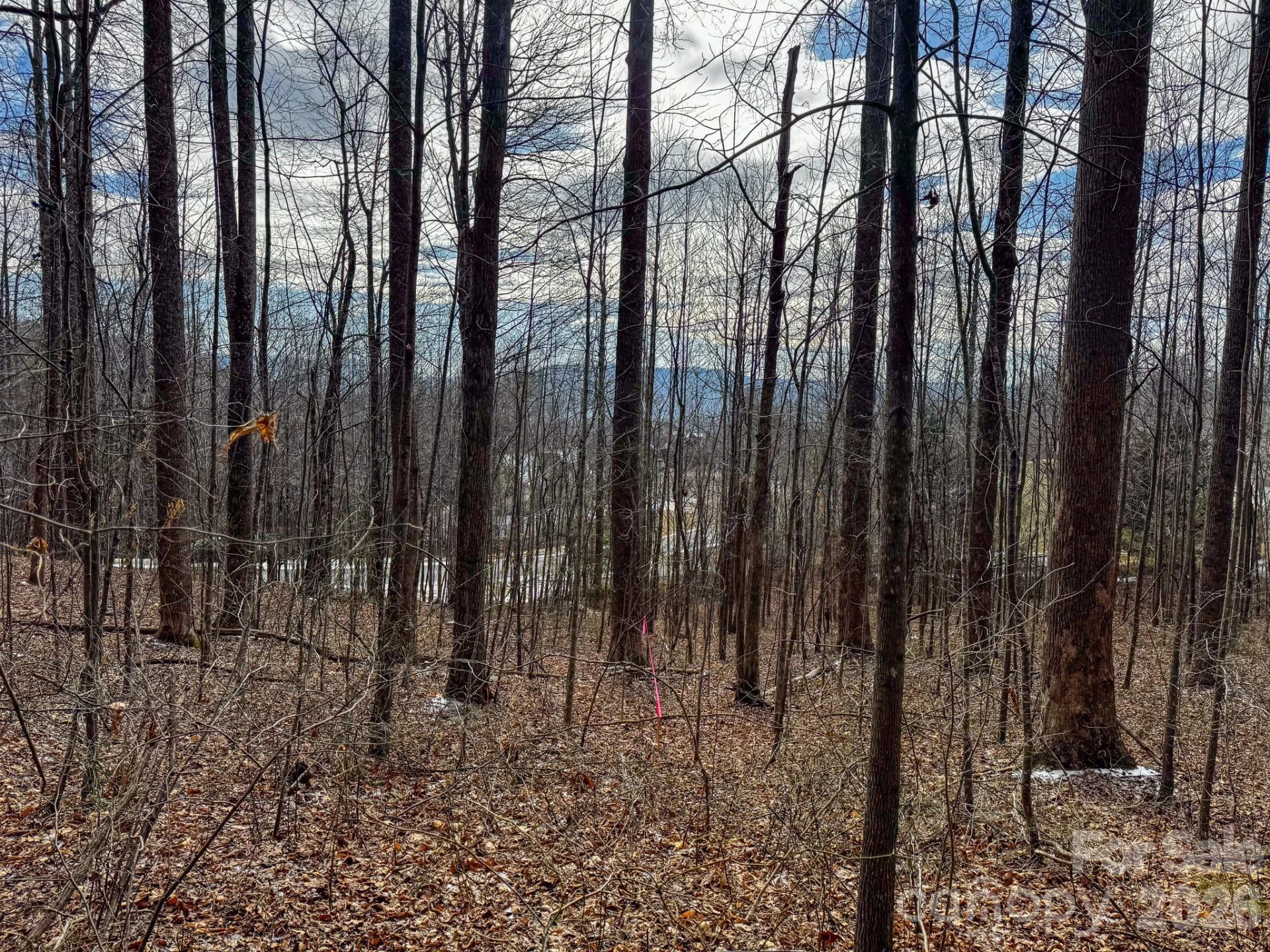 770 Somersby Parkway - Photo 4