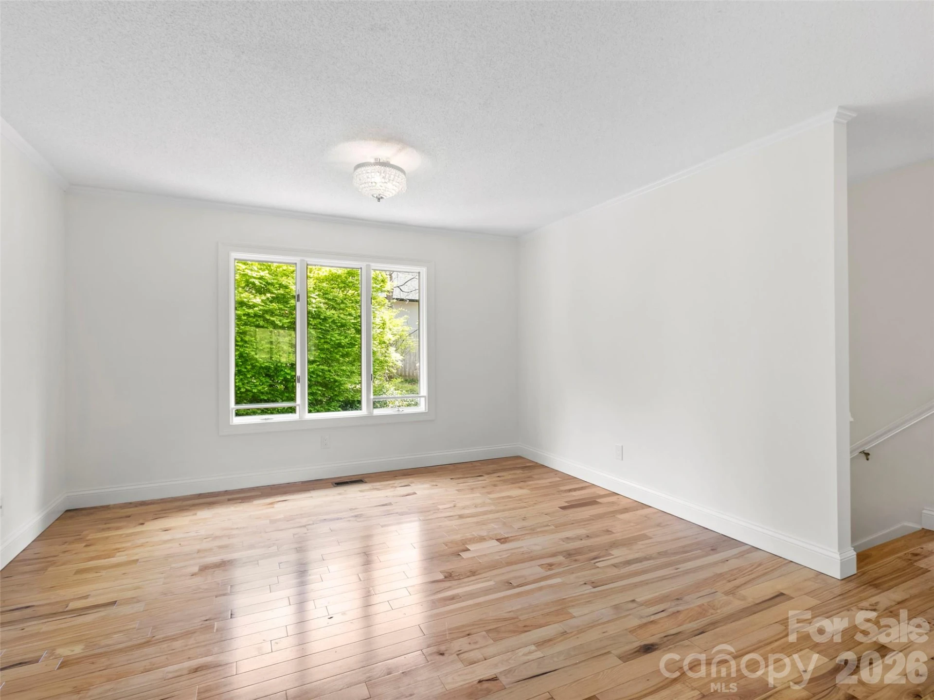 2731 Miller Lane - Photo 8