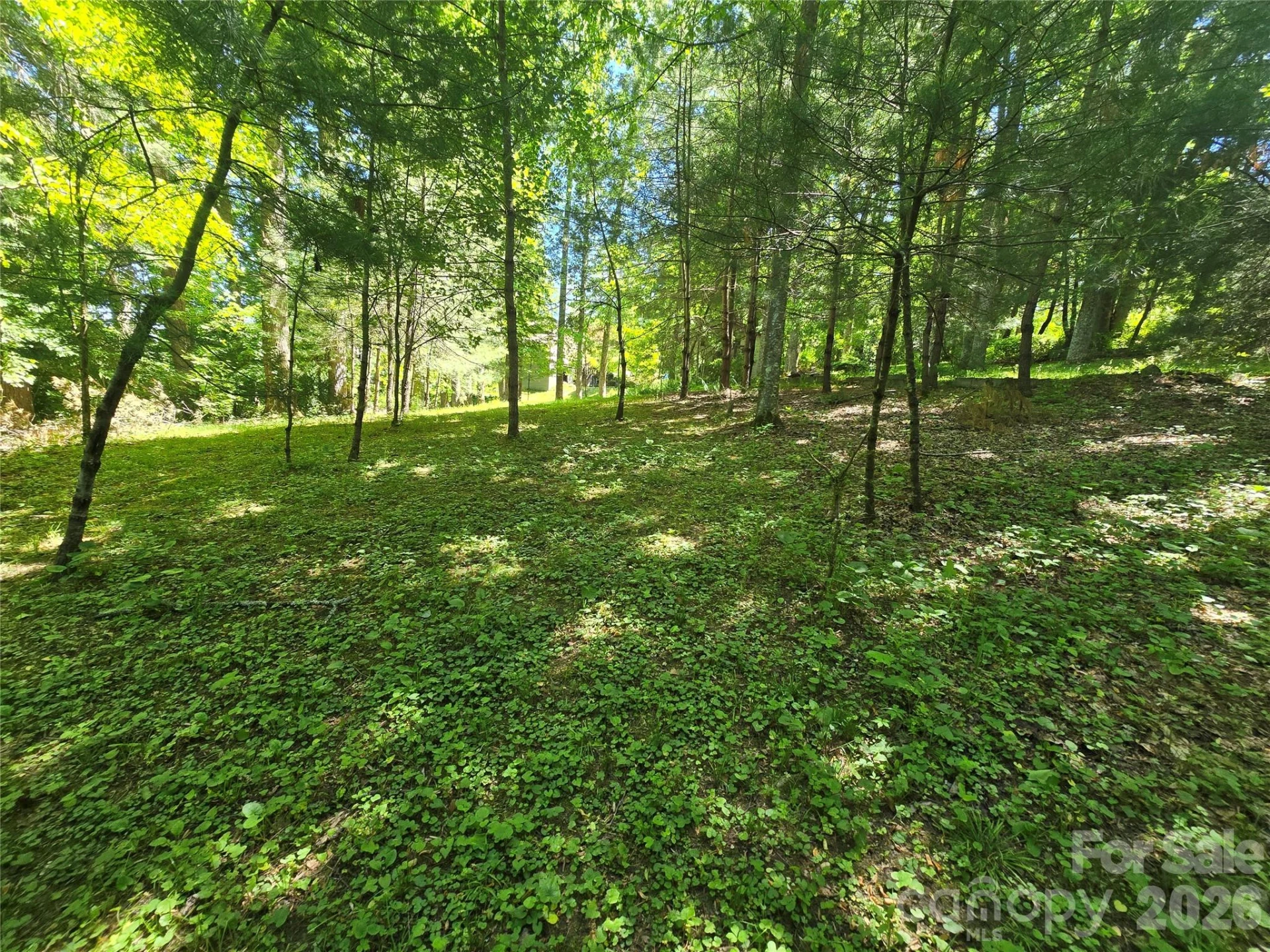 623 Owensby Road - Photo 46