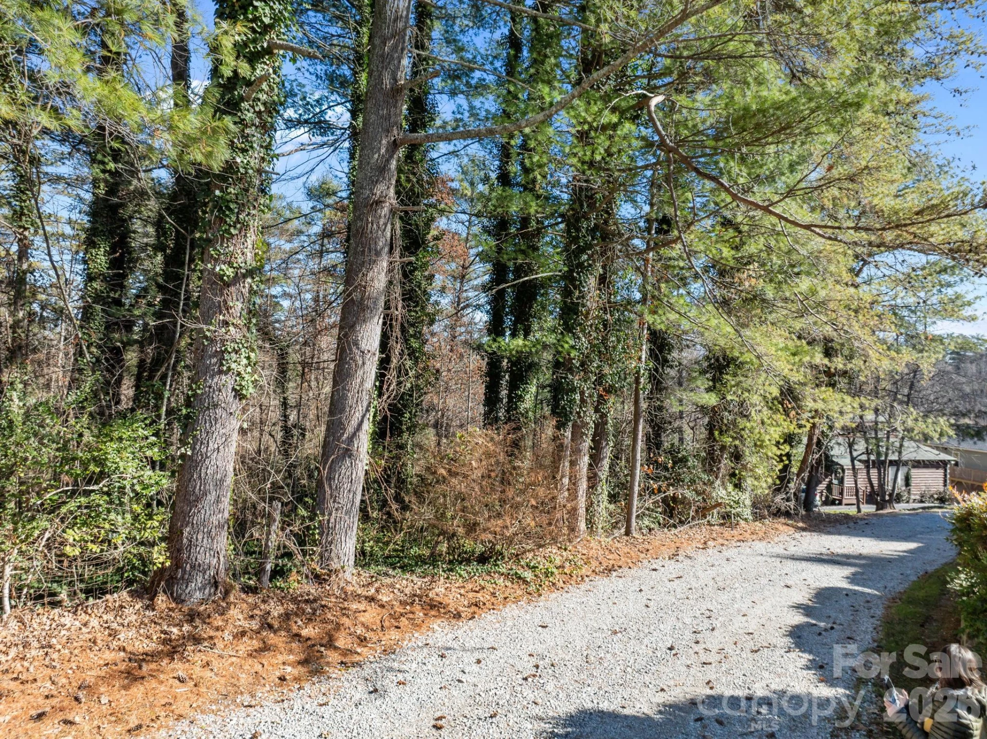000 Oscelake Way #6 and 14 - Photo 4