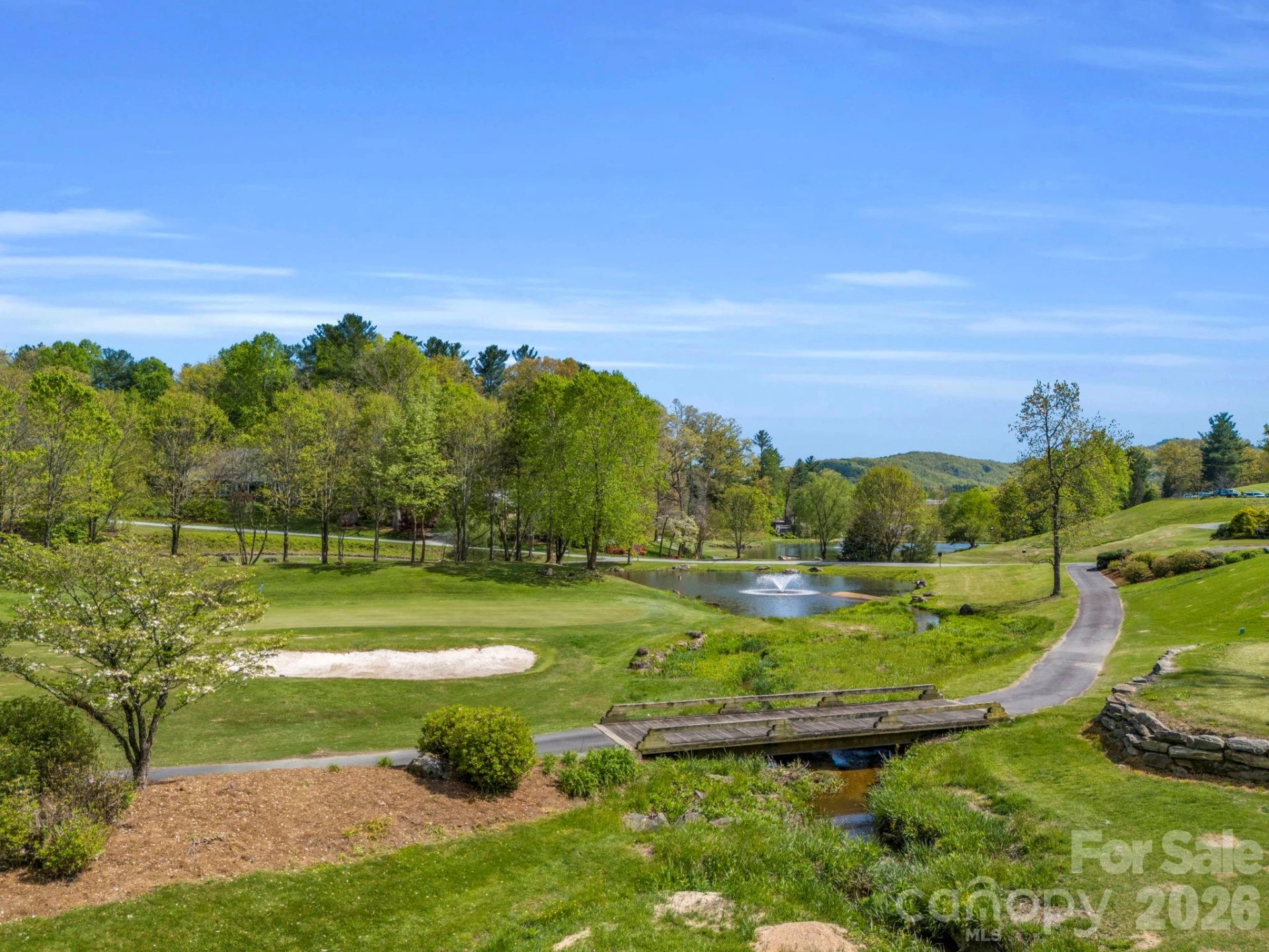 142 Mountain Elder Lane #79 - Photo 36