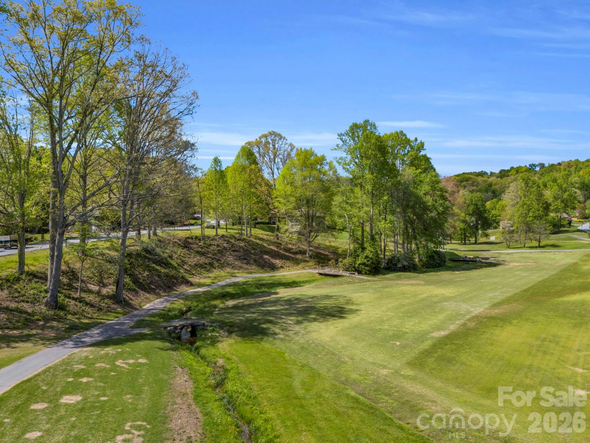 142 Mountain Elder Lane #79 - Photo 39