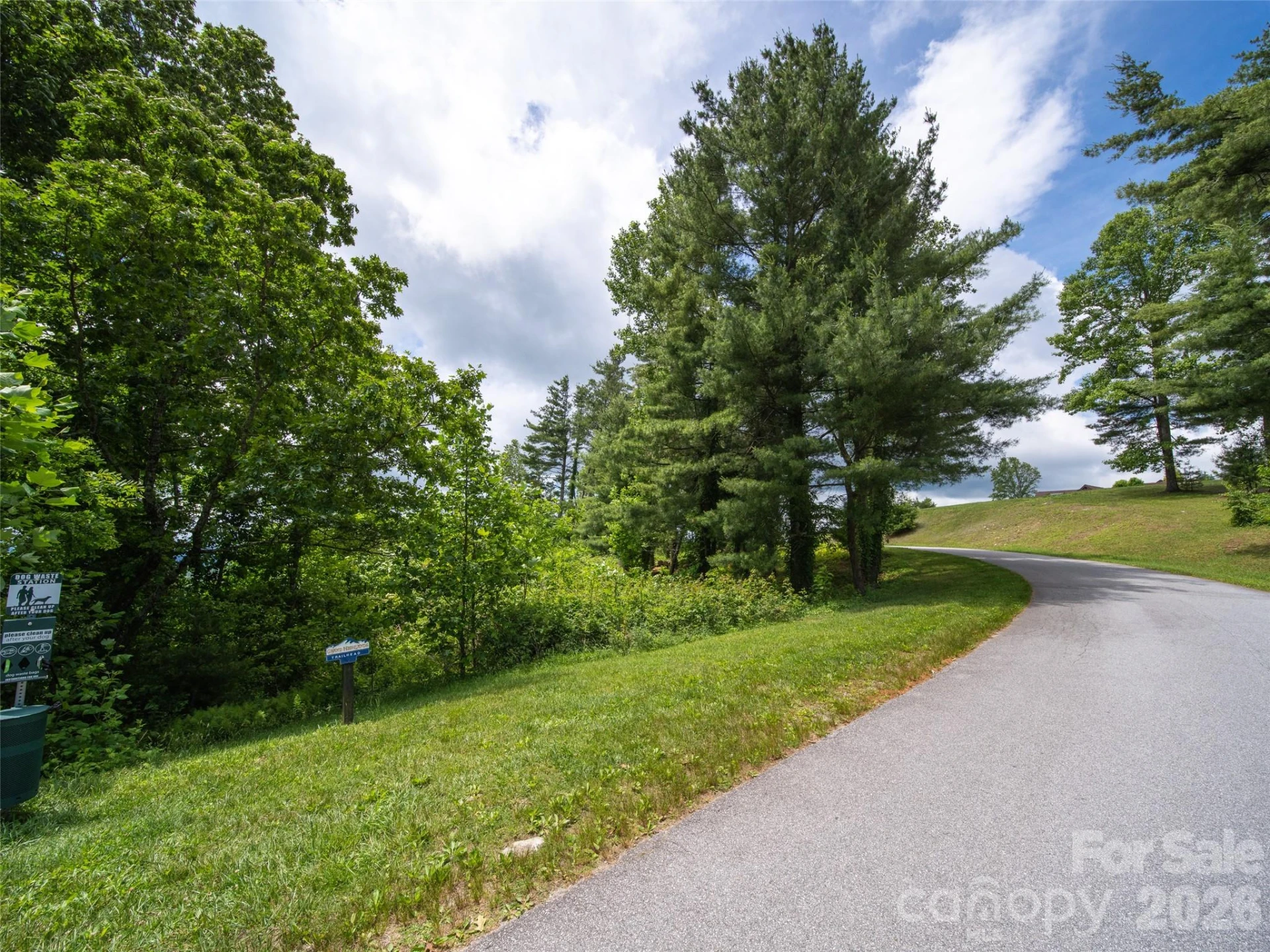 #178 Dancing Bear Drive - Photo 12