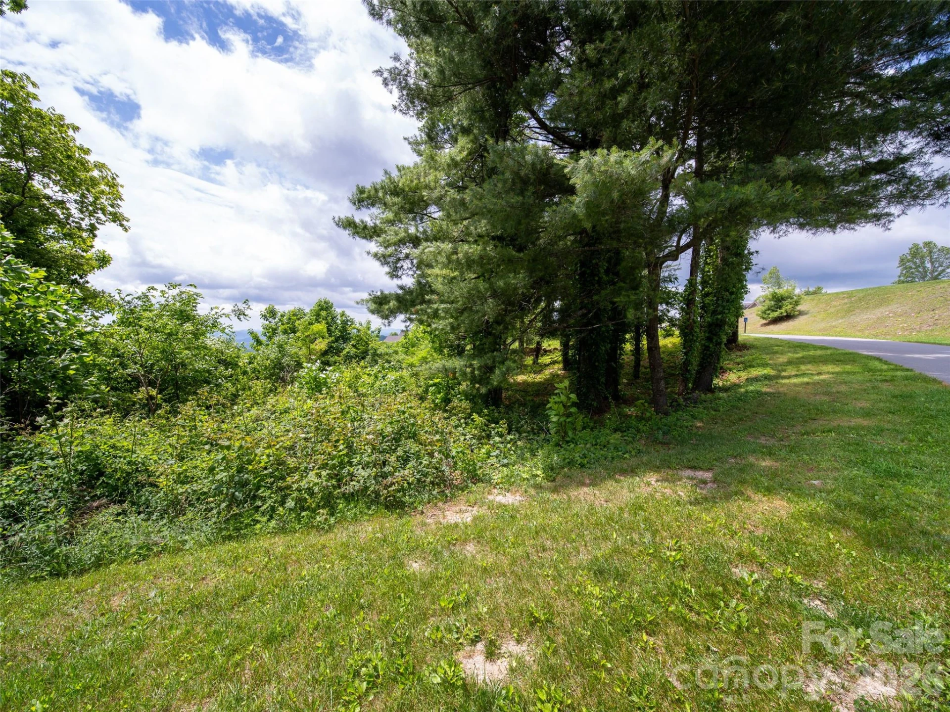 #178 Dancing Bear Drive - Photo 14