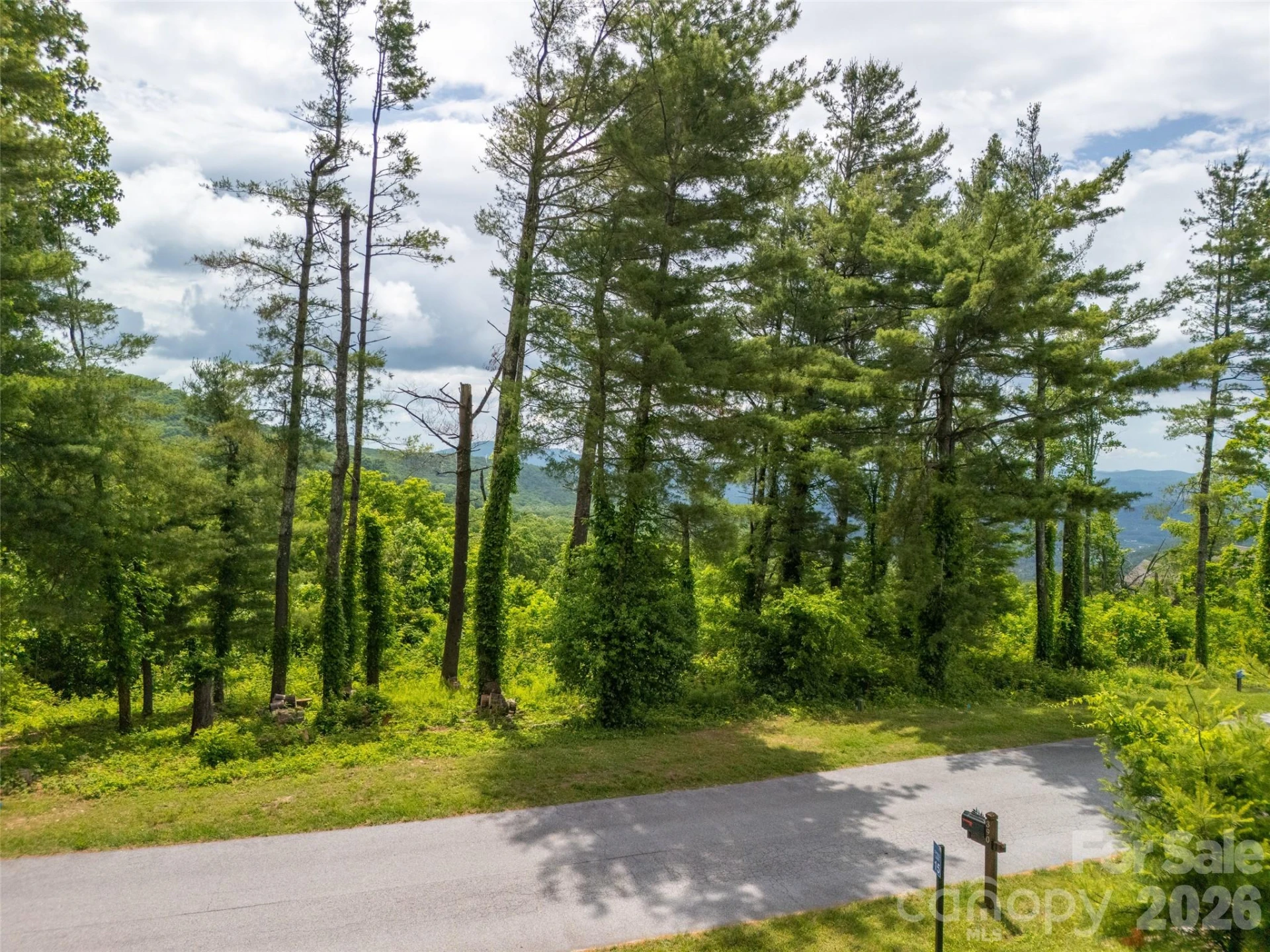 #178 Dancing Bear Drive - Photo 15