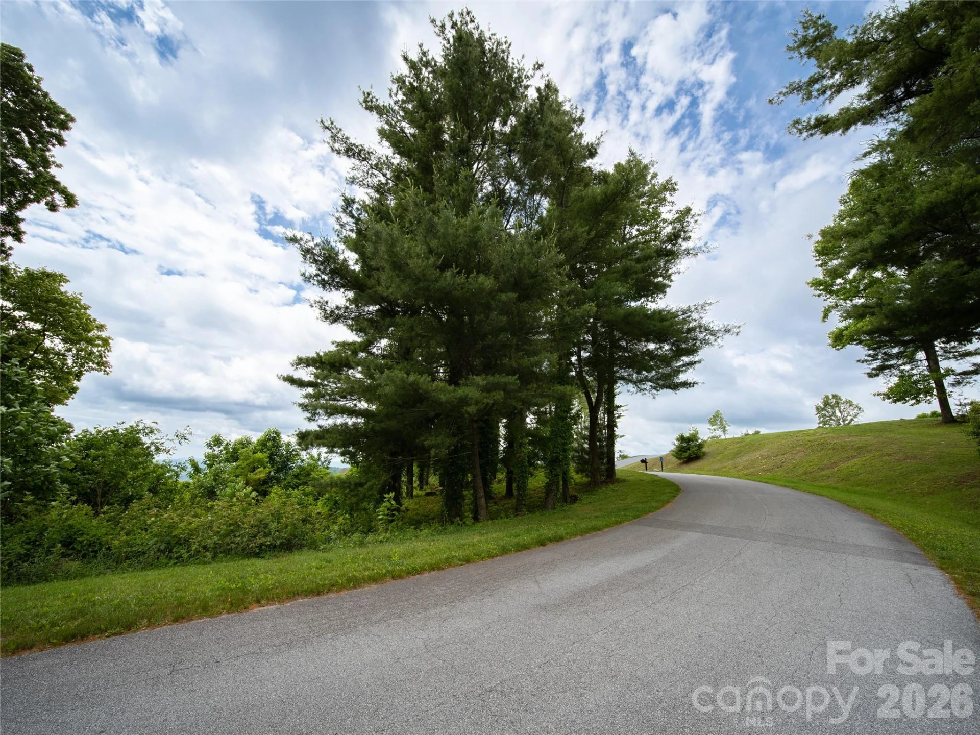 #178 Dancing Bear Drive - Photo 8