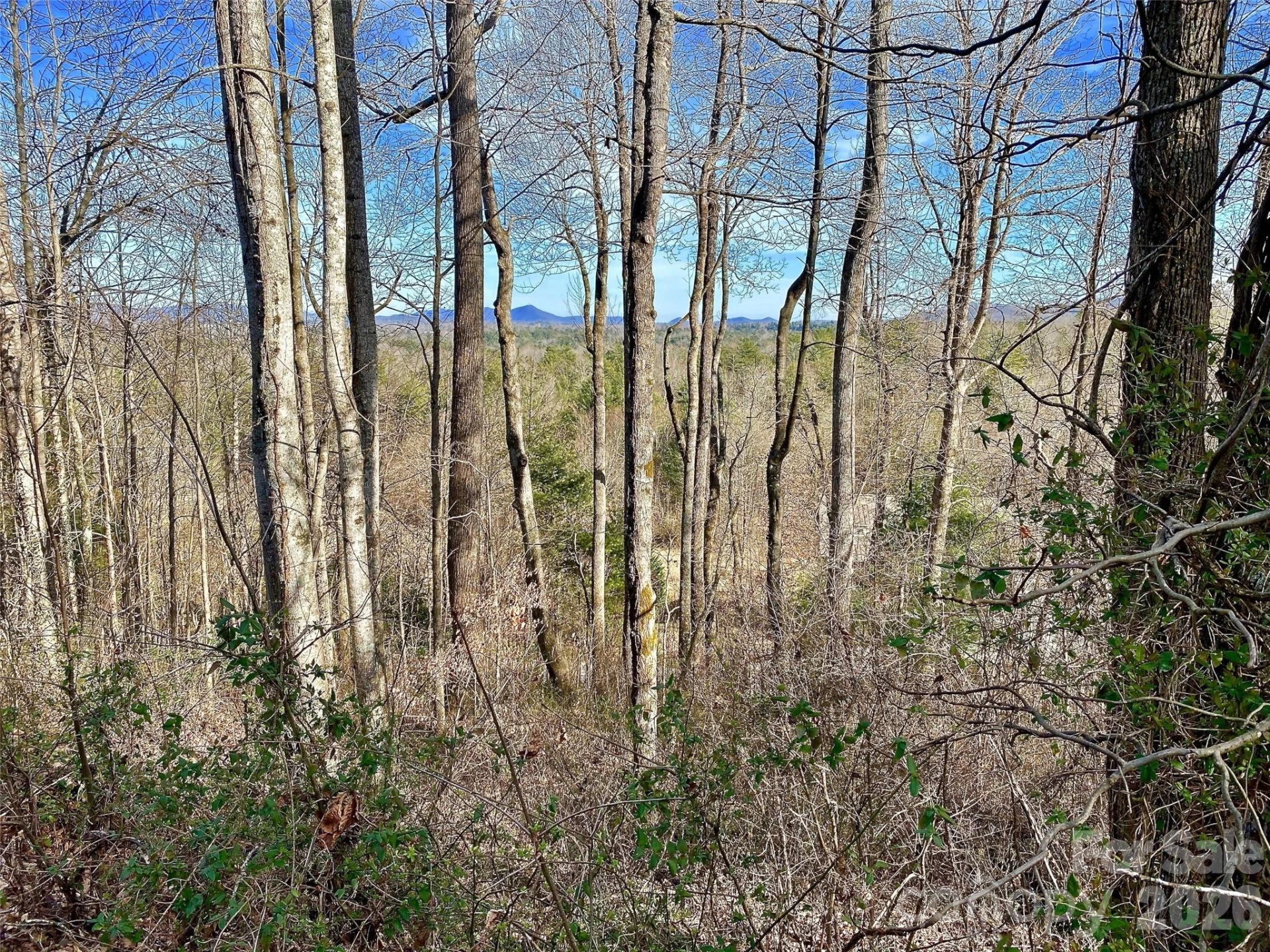 174 High Road Overlook None #24