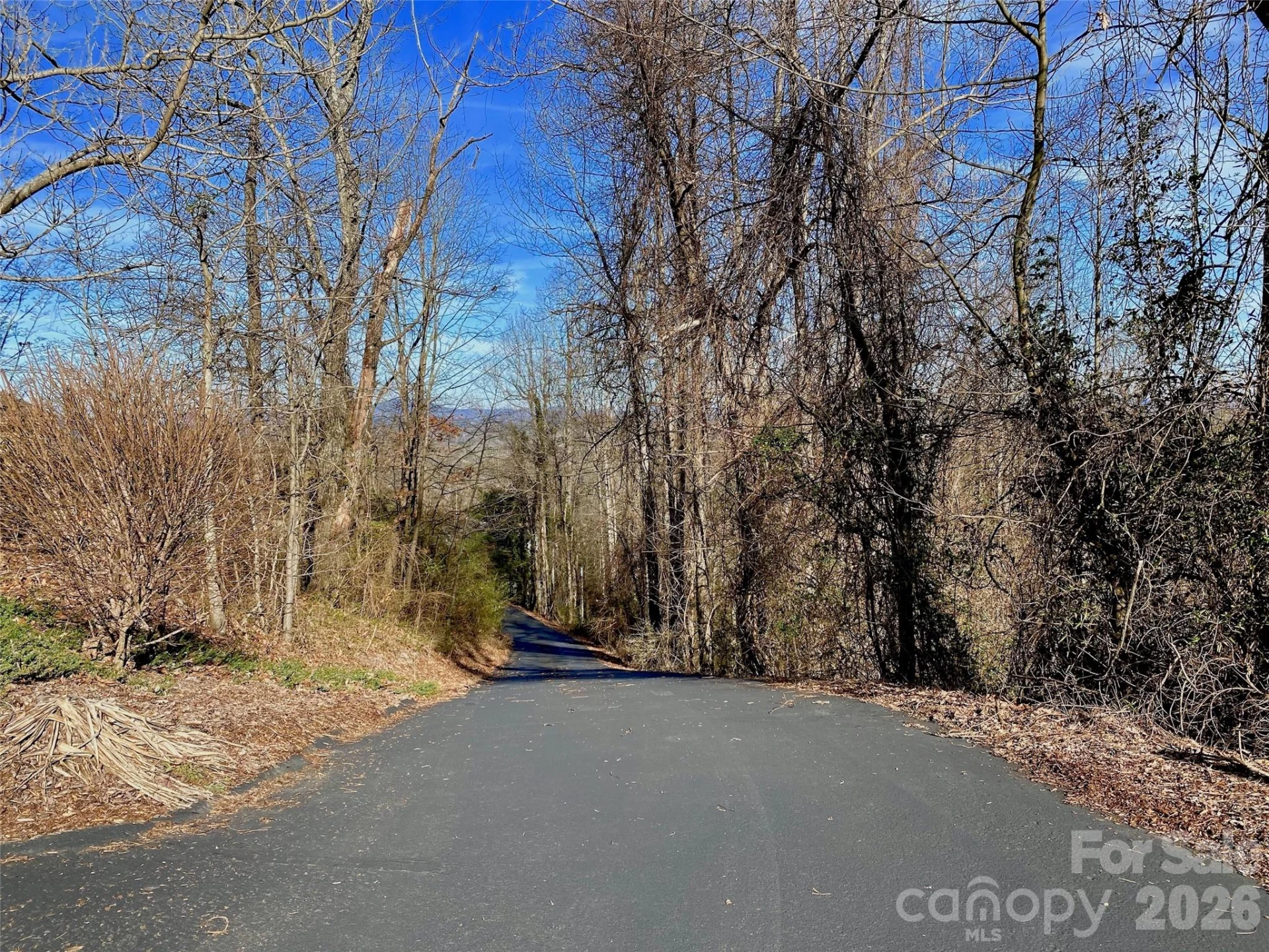 174 High Road Overlook None #24 - Photo 3