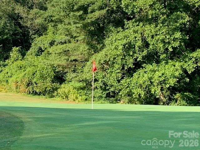 LOTS 1&2 COUNTRY CLUB Road #1&2 - Photo 13