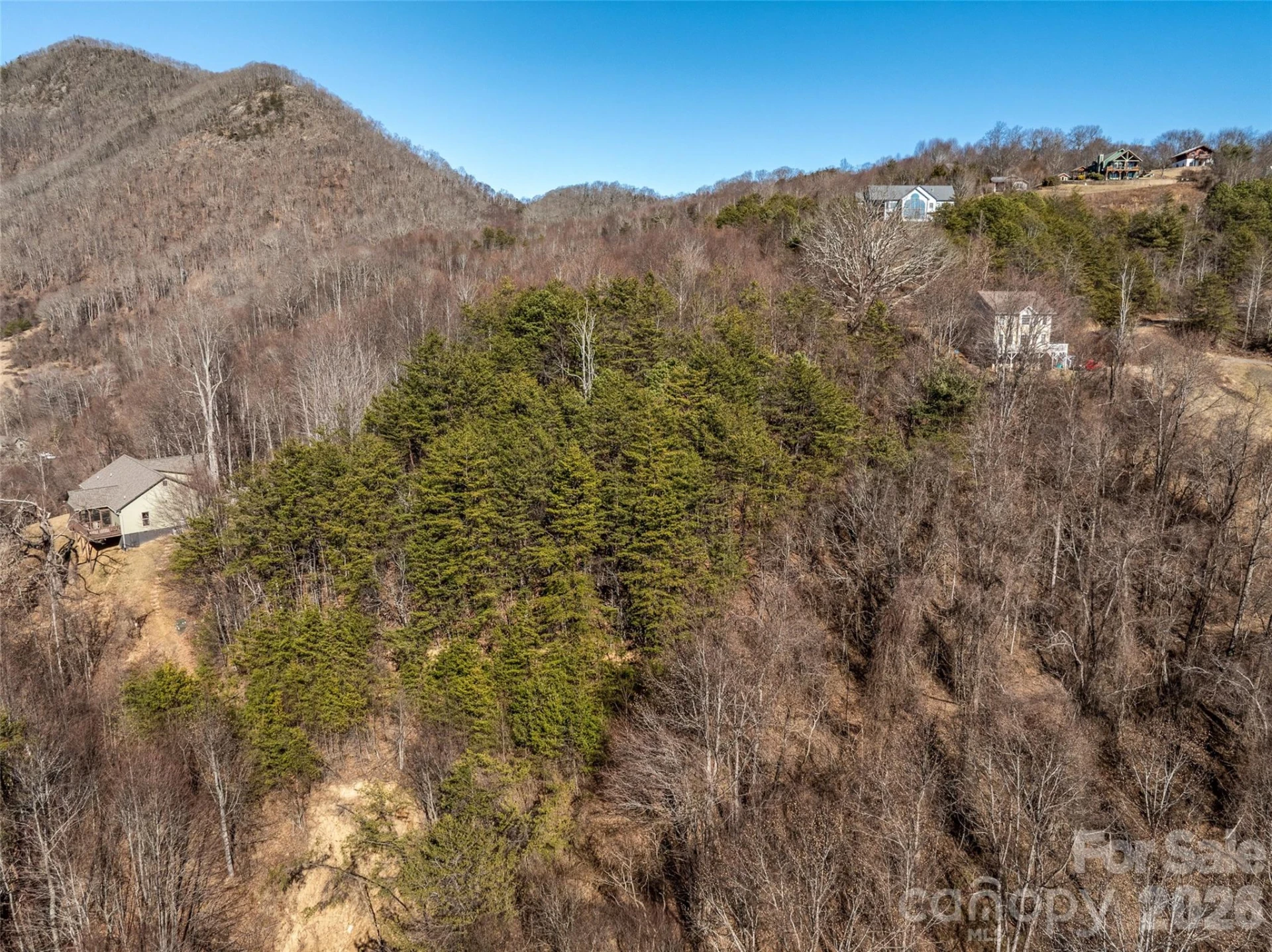 9999 Hunters Ridge Drive - Photo 6